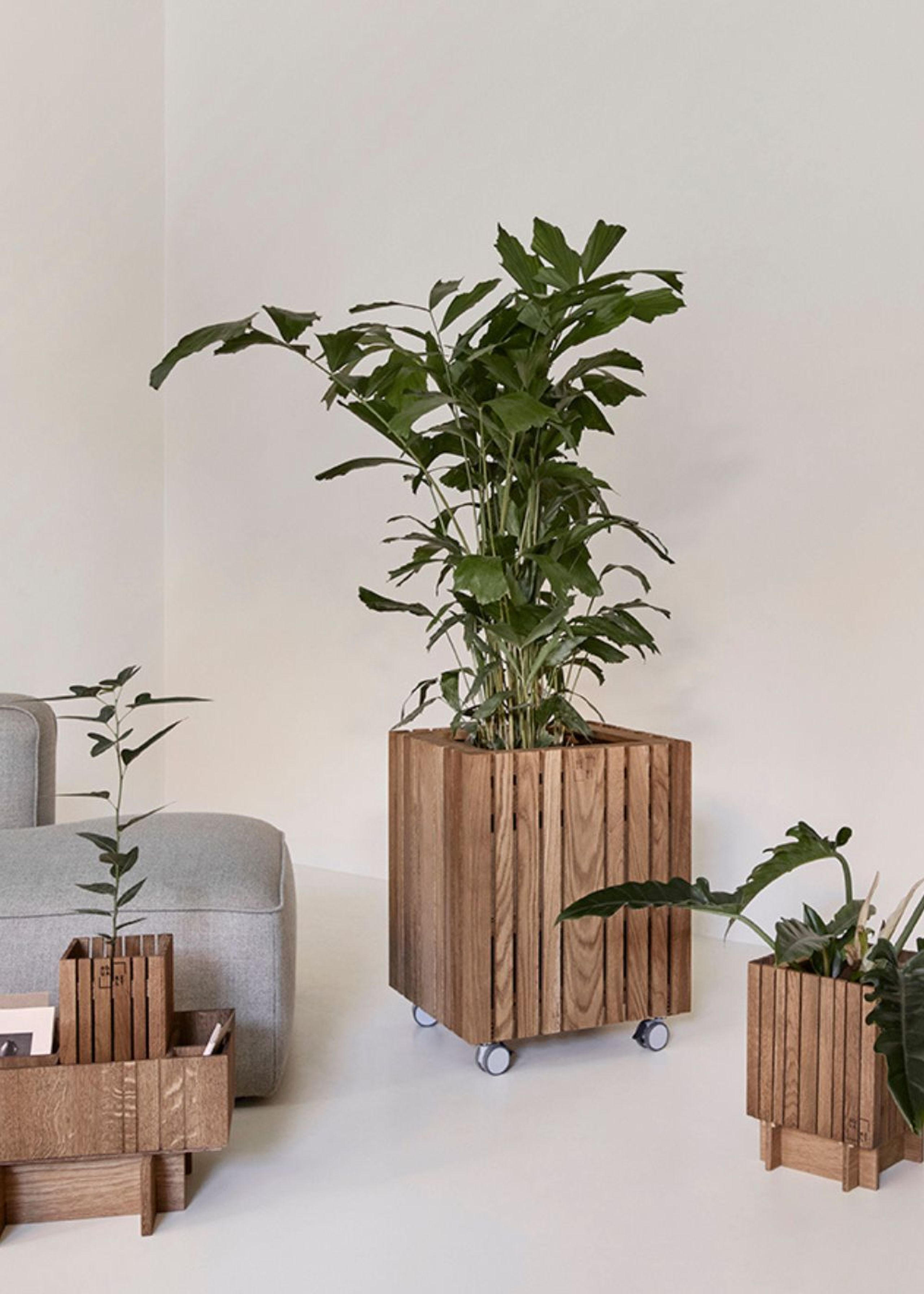 SQUARELY CPH - Plant Box - GrowMORE - Natural Oak (For indoor use only)