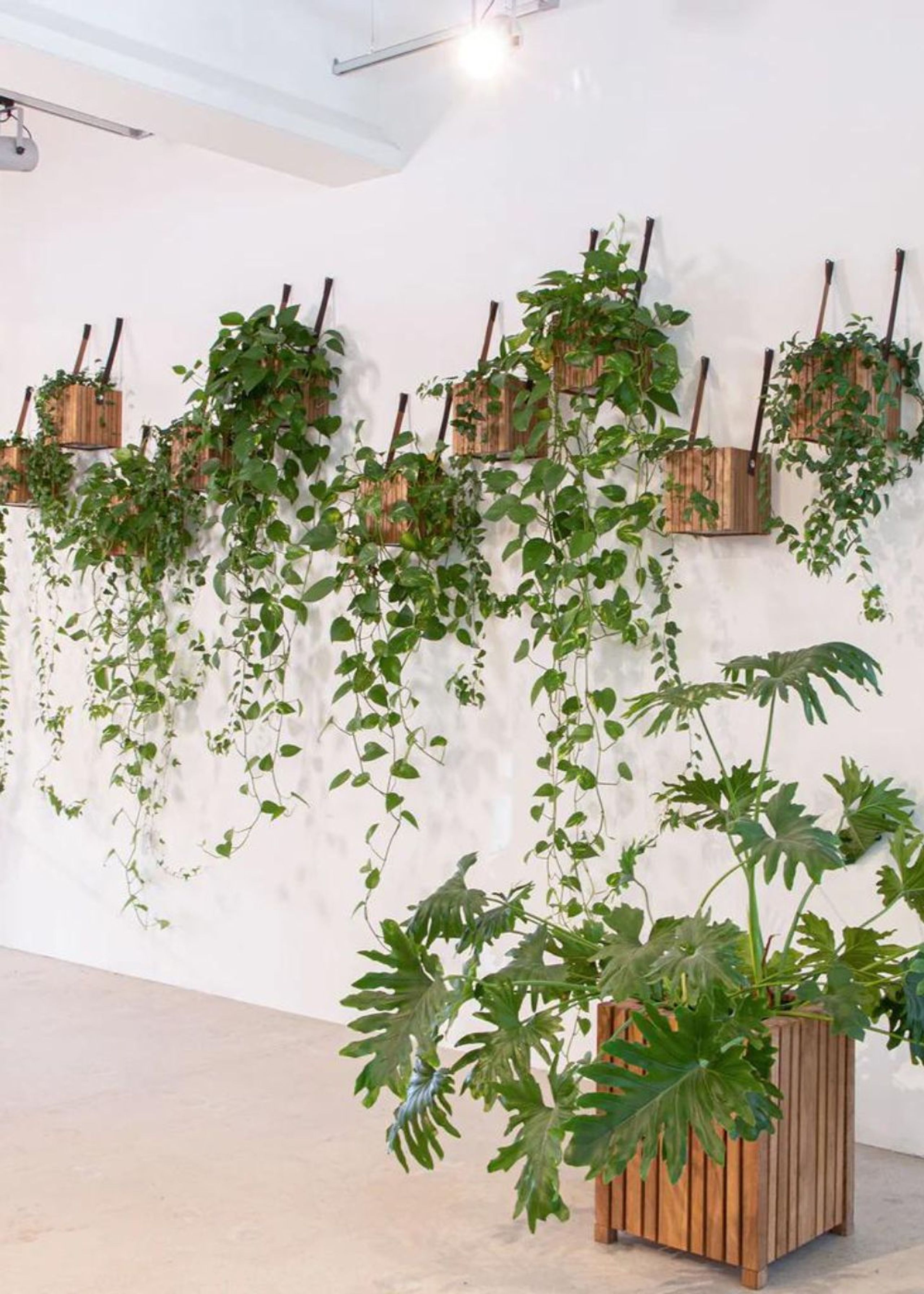 SQUARELY CPH - Plantekasse - GrowON & HoldON - Dark Oak - Dark Green Nylon