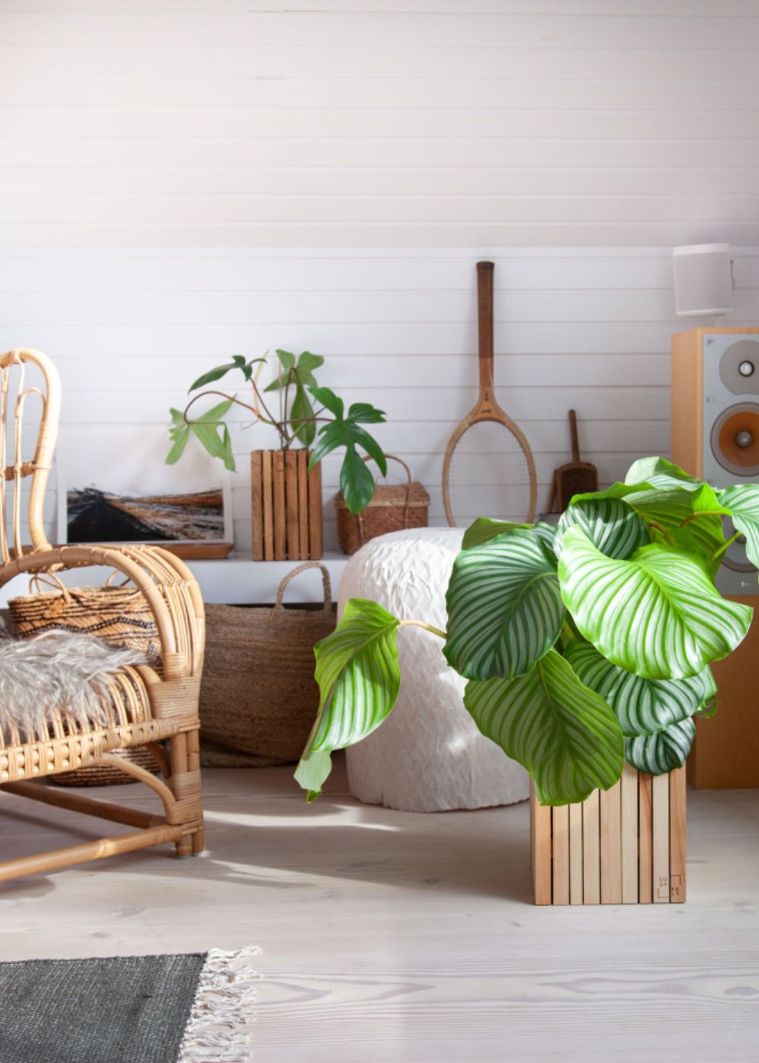 SQUARELY CPH - Boîte à plantes - GrowON - Natural Ash