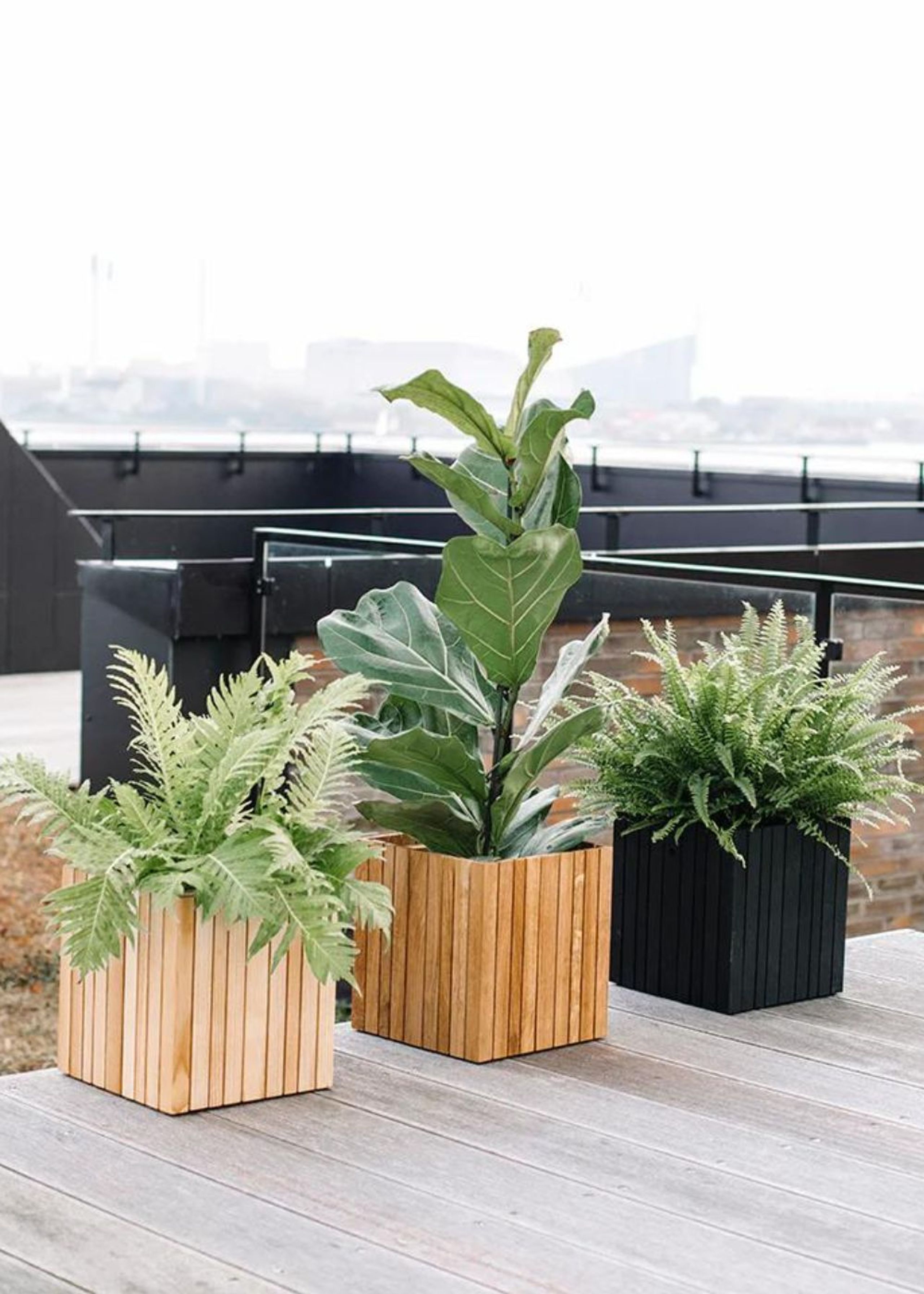 SQUARELY CPH - Caja para plantas - GrowON - Natural Oak (For indoor use only)