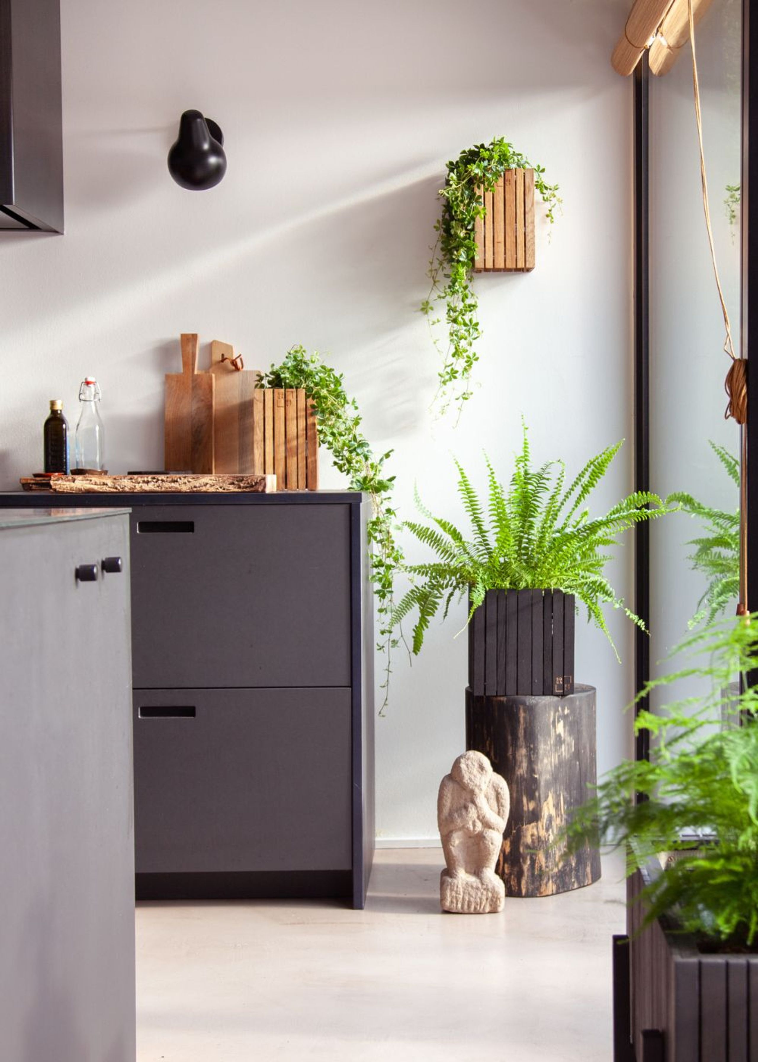 SQUARELY CPH - Plant Box - GrowSMALL - Dark Oak