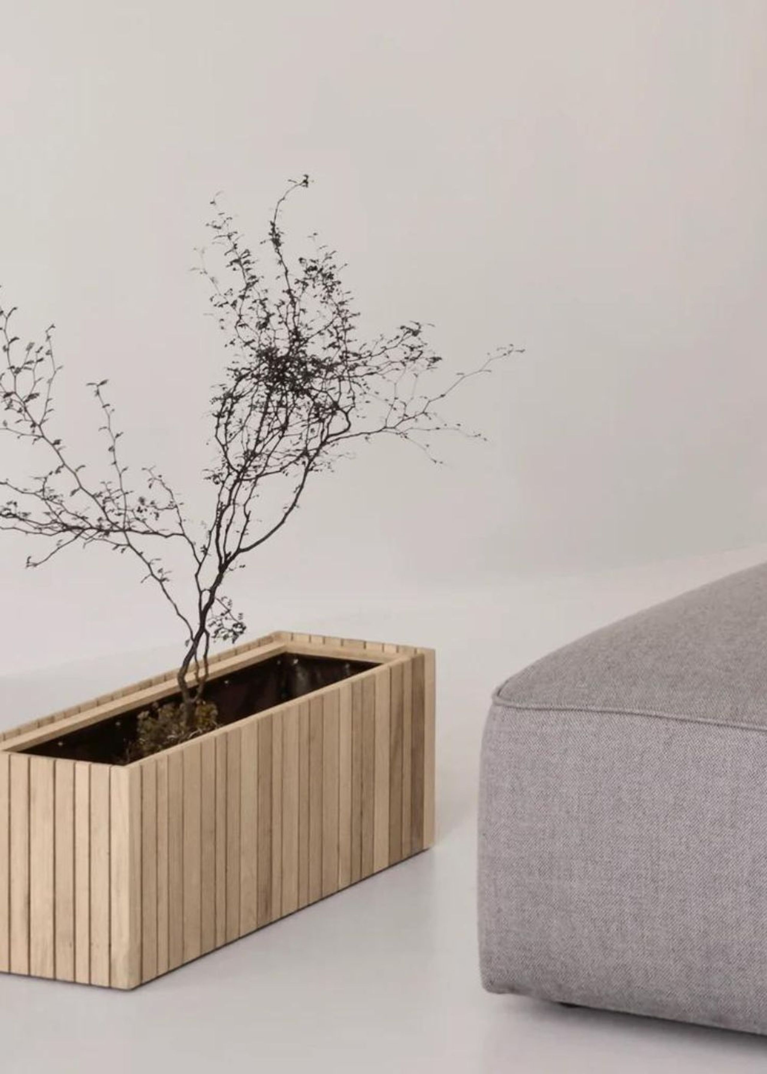 SQUARELY CPH - Boîte à plantes - GrowWIDE - Natural Oak (For indoor use only)