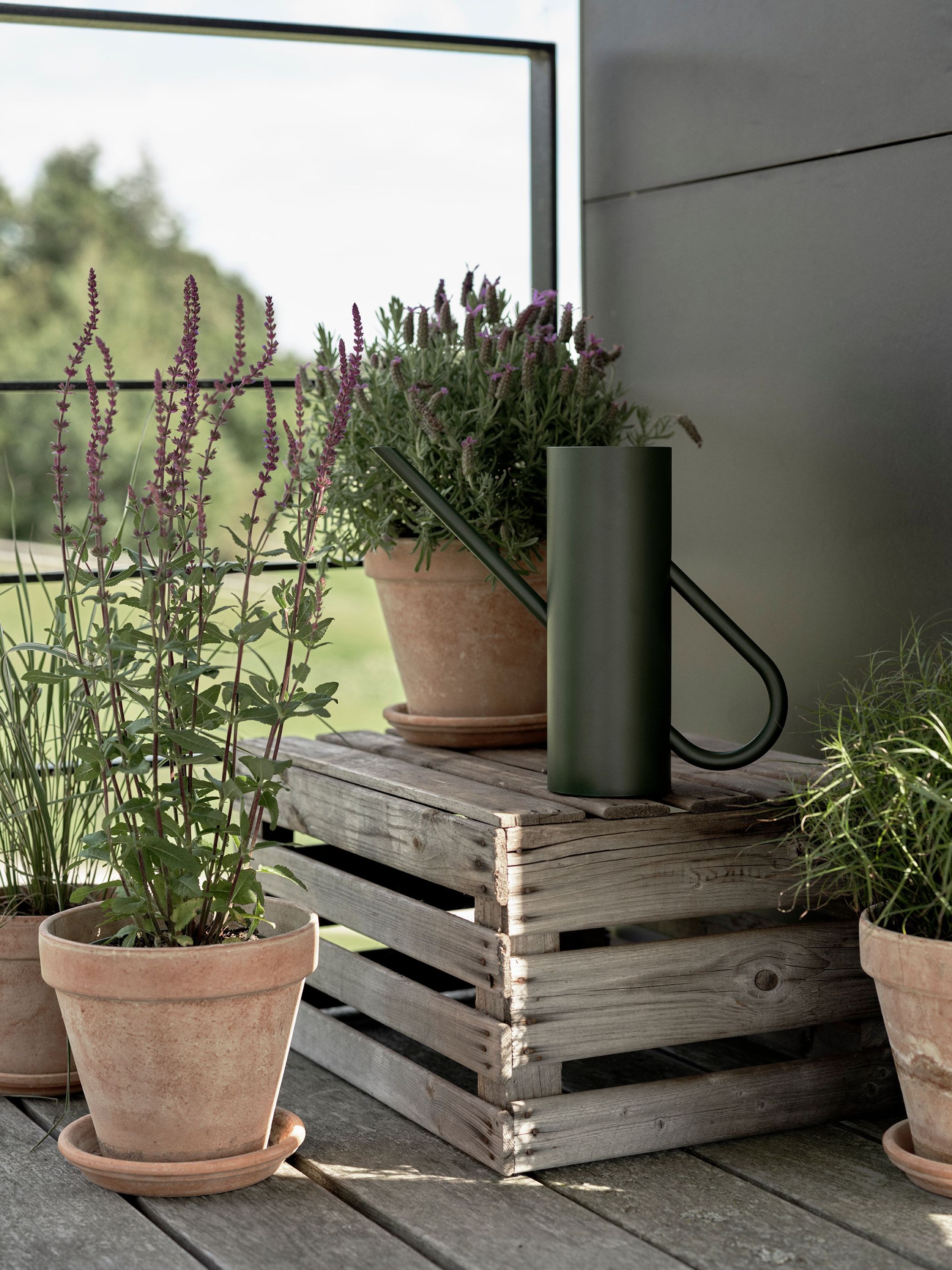 Stelton - Pichet - Bloom Watering Can 2 L - Pine