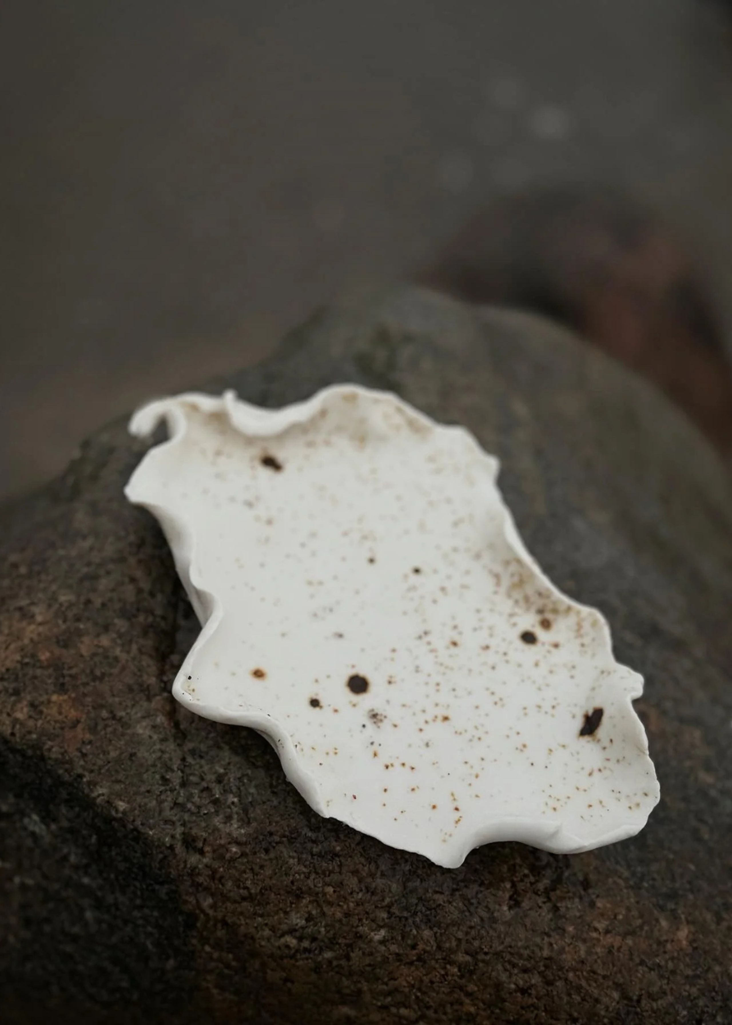 Studio Aarhus - Fad - Reden - White