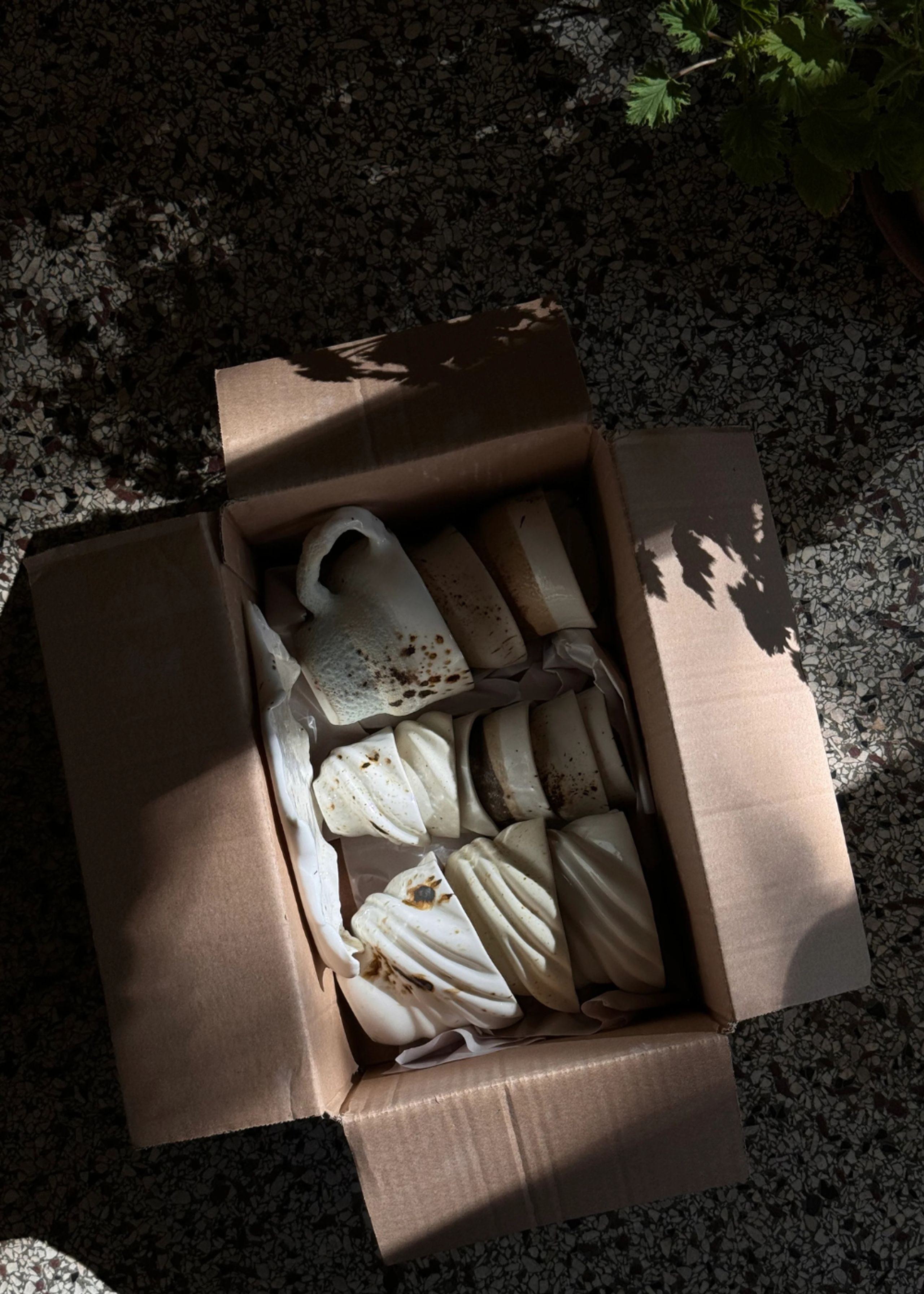 Studio Aarhus - Copie - Sparrow cup - White / brown