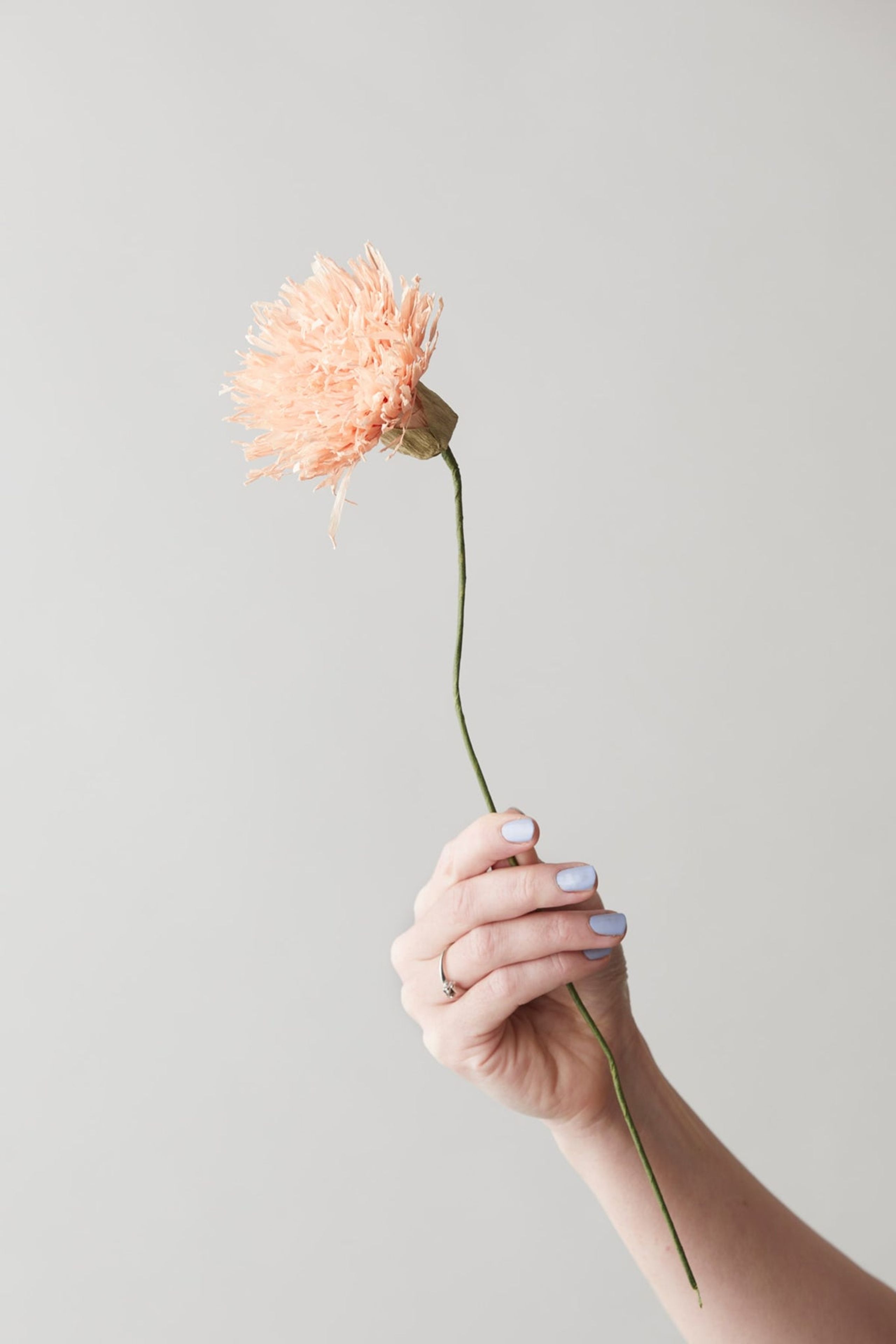 Studio About - Paper Flowers - Paper Flower, Chrysanthemum - Nude