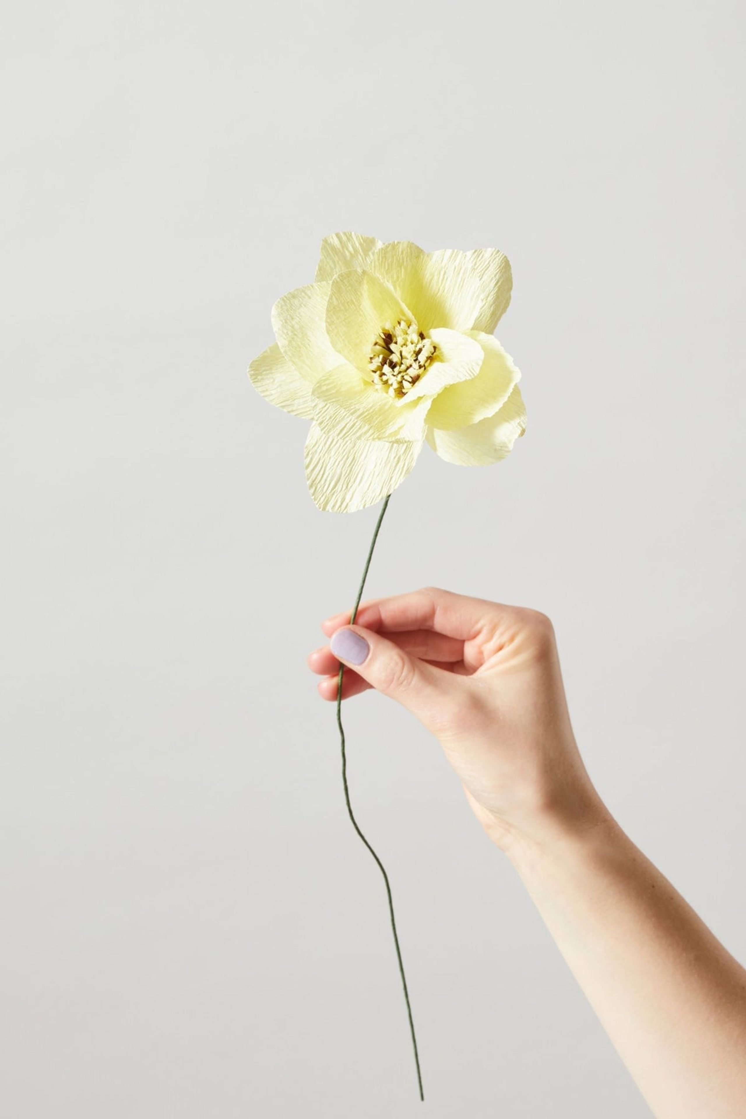 Studio About - Paper Flowers - Paper Flower, Dahlia - Yellow