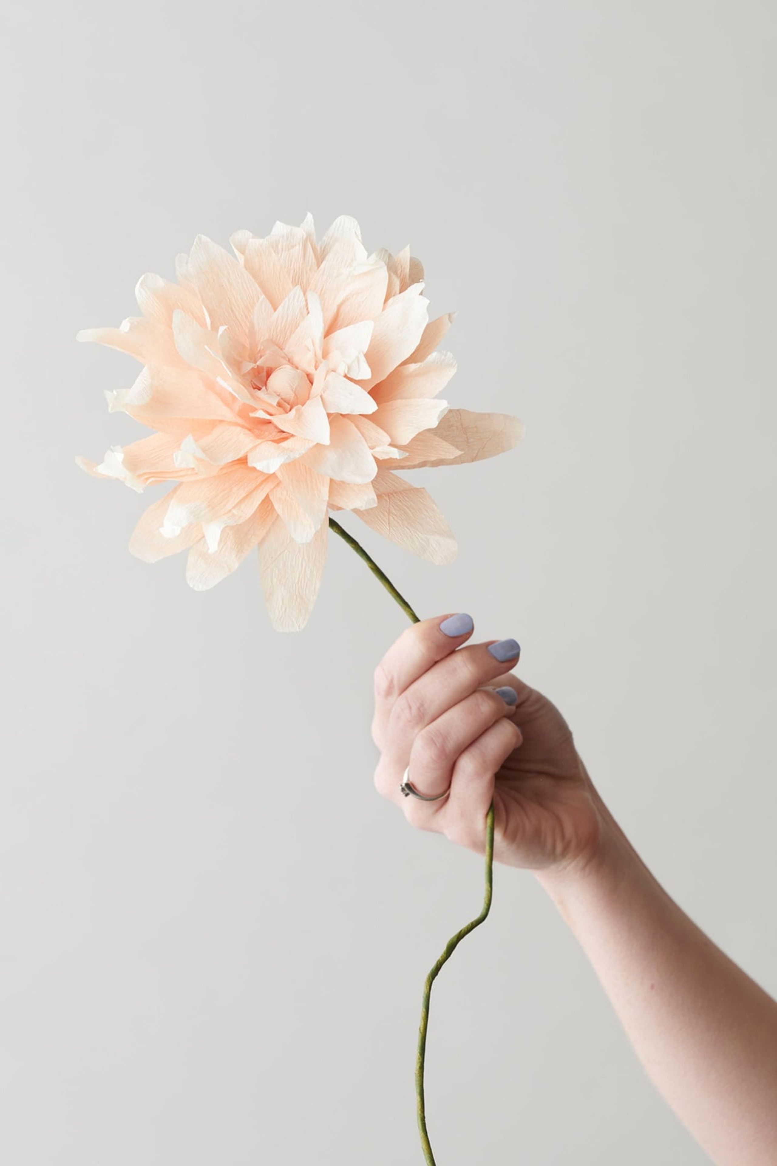 Studio About - Papirblomster - Paper Flower, Grand Dahlia - Nude