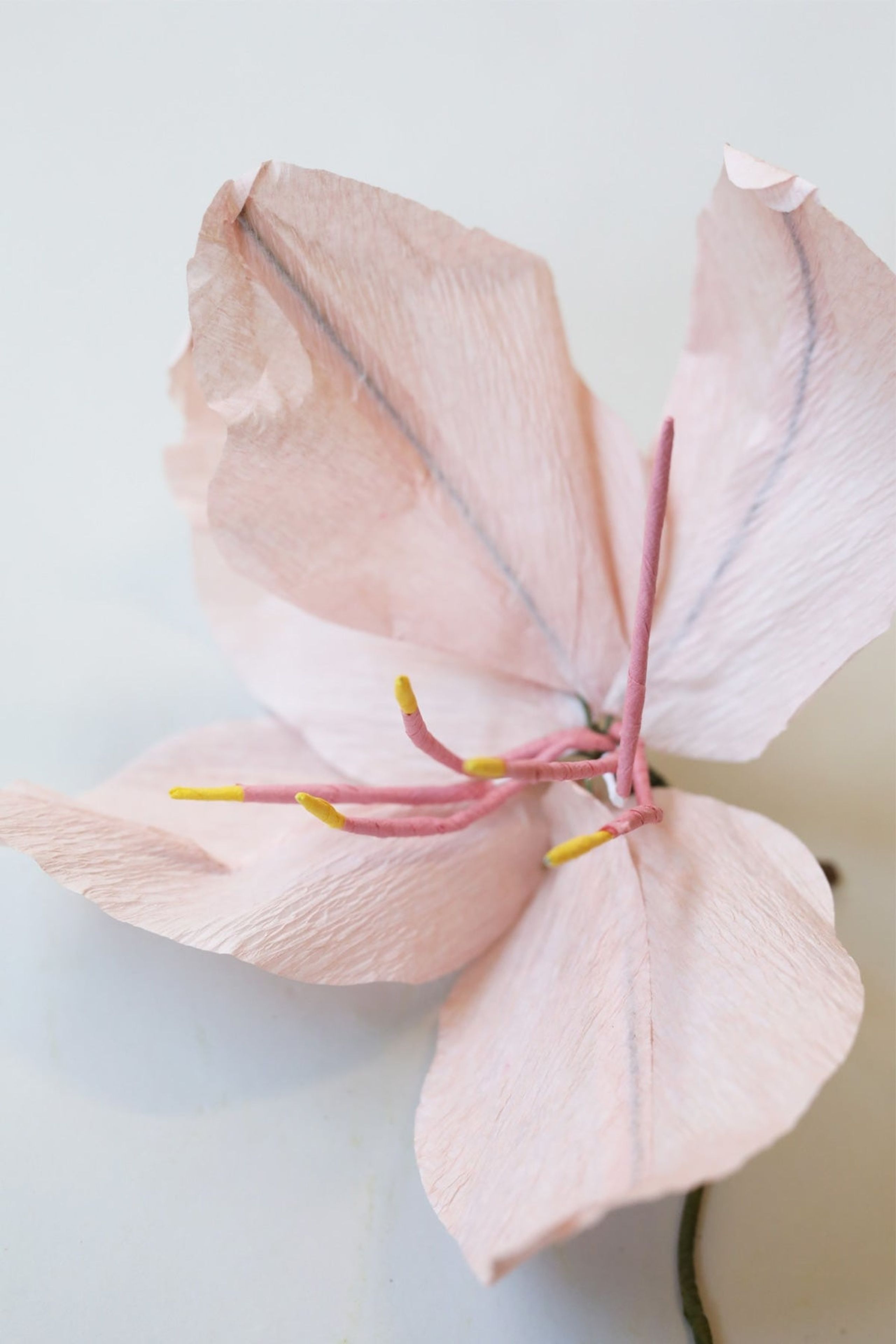 Studio About - Paper Flowers - Paper Flower, Lily - Rose