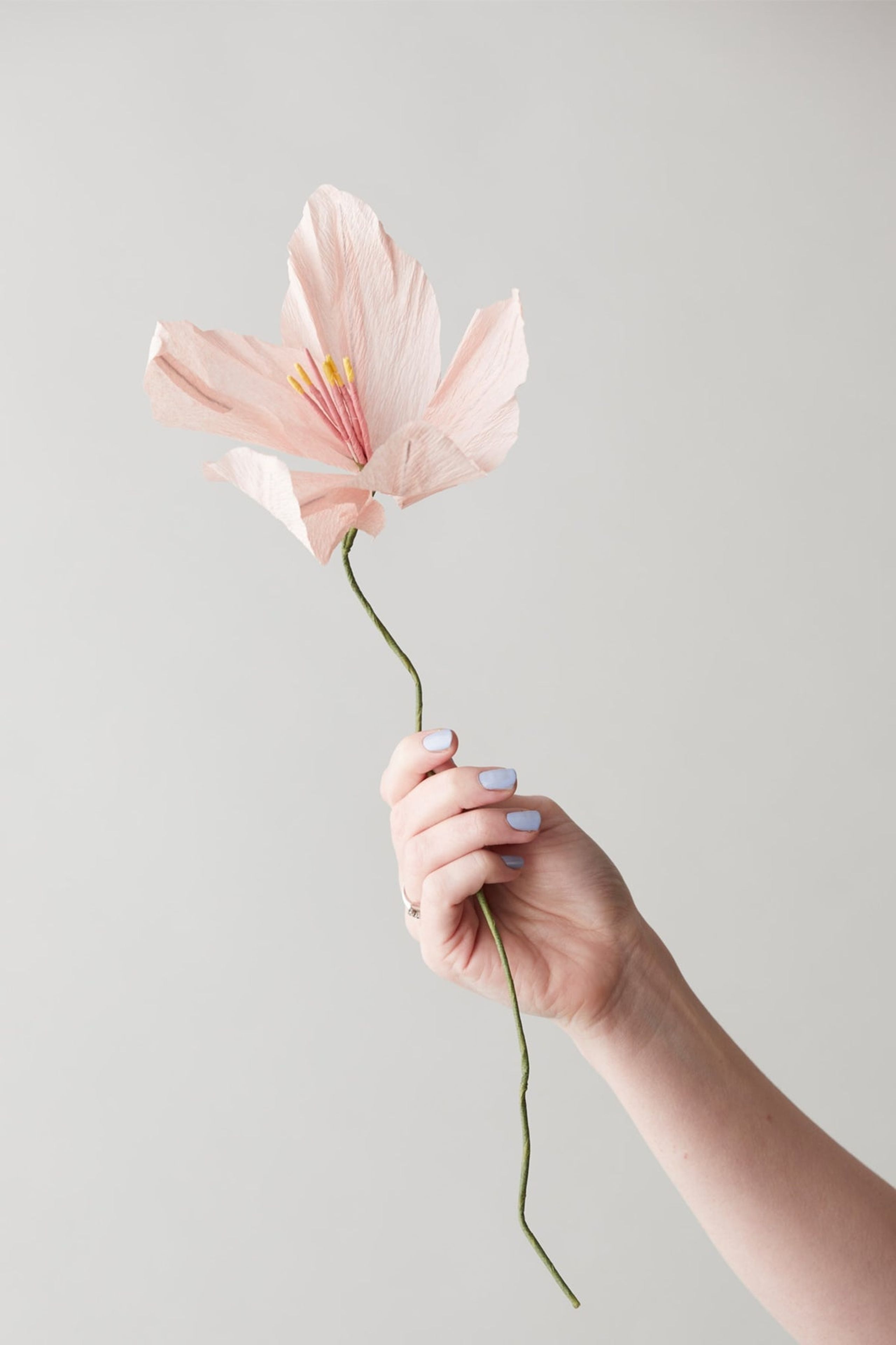 Studio About - Paper Flowers - Paper Flower, Lily - Rose