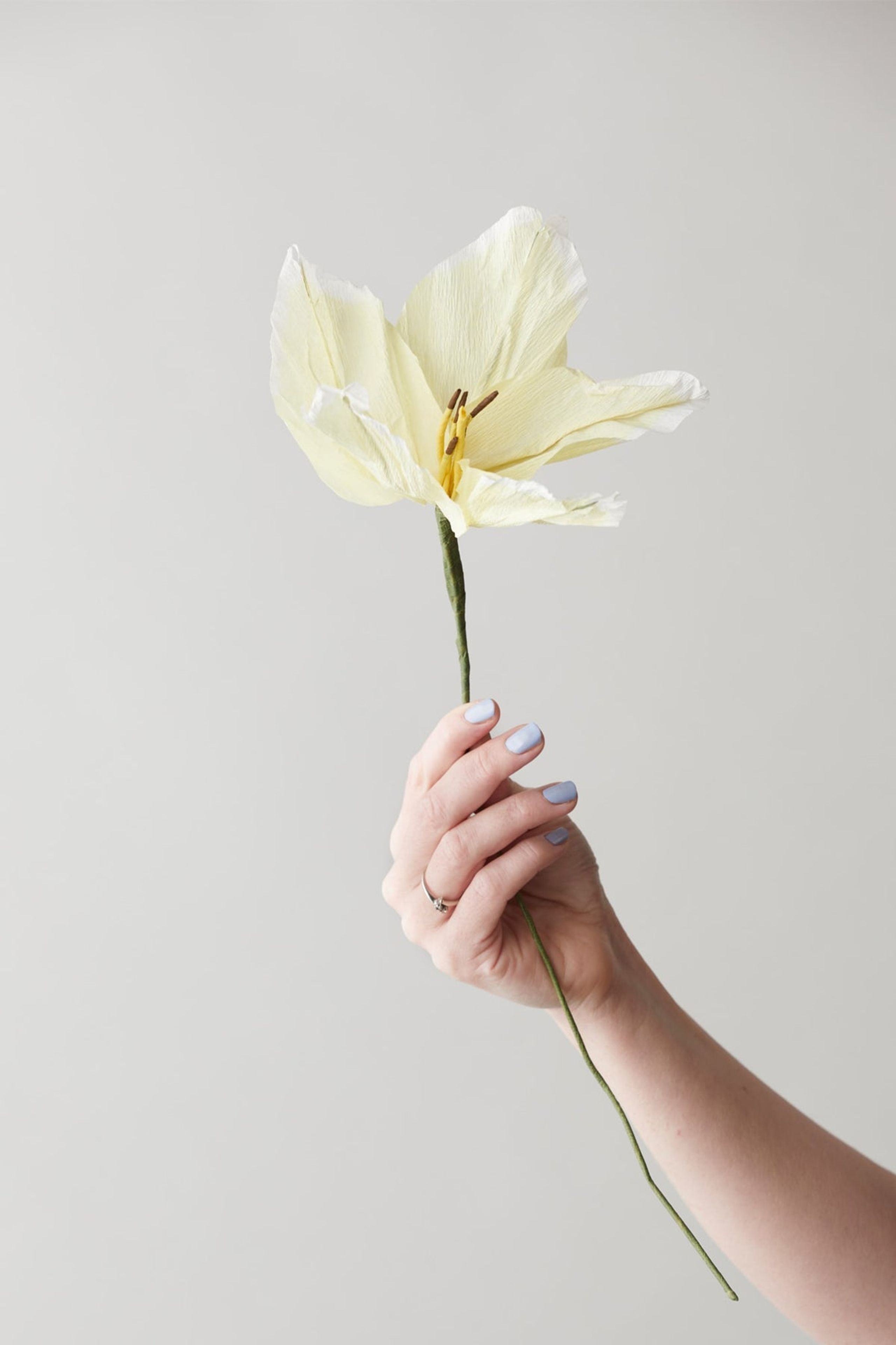 Studio About - Paper Flowers - Paper Flower, Lily - Yellow