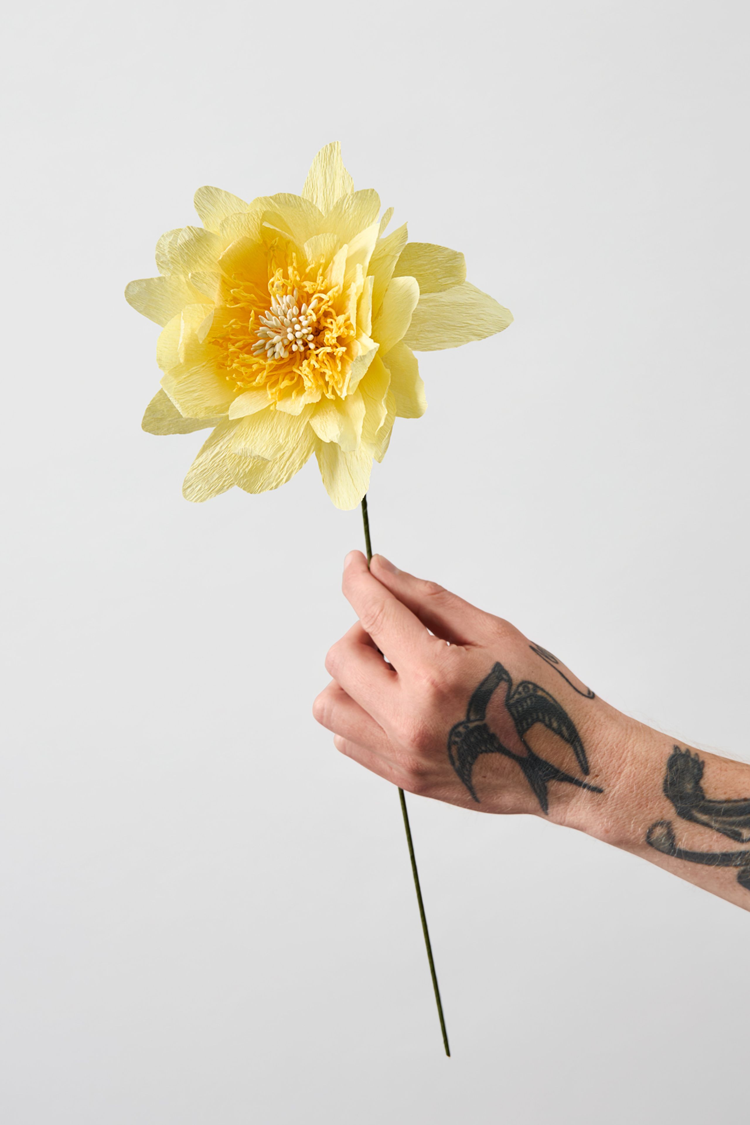 Studio About - Paper Flowers - Paper Flower, Cottage Rose - Yellow