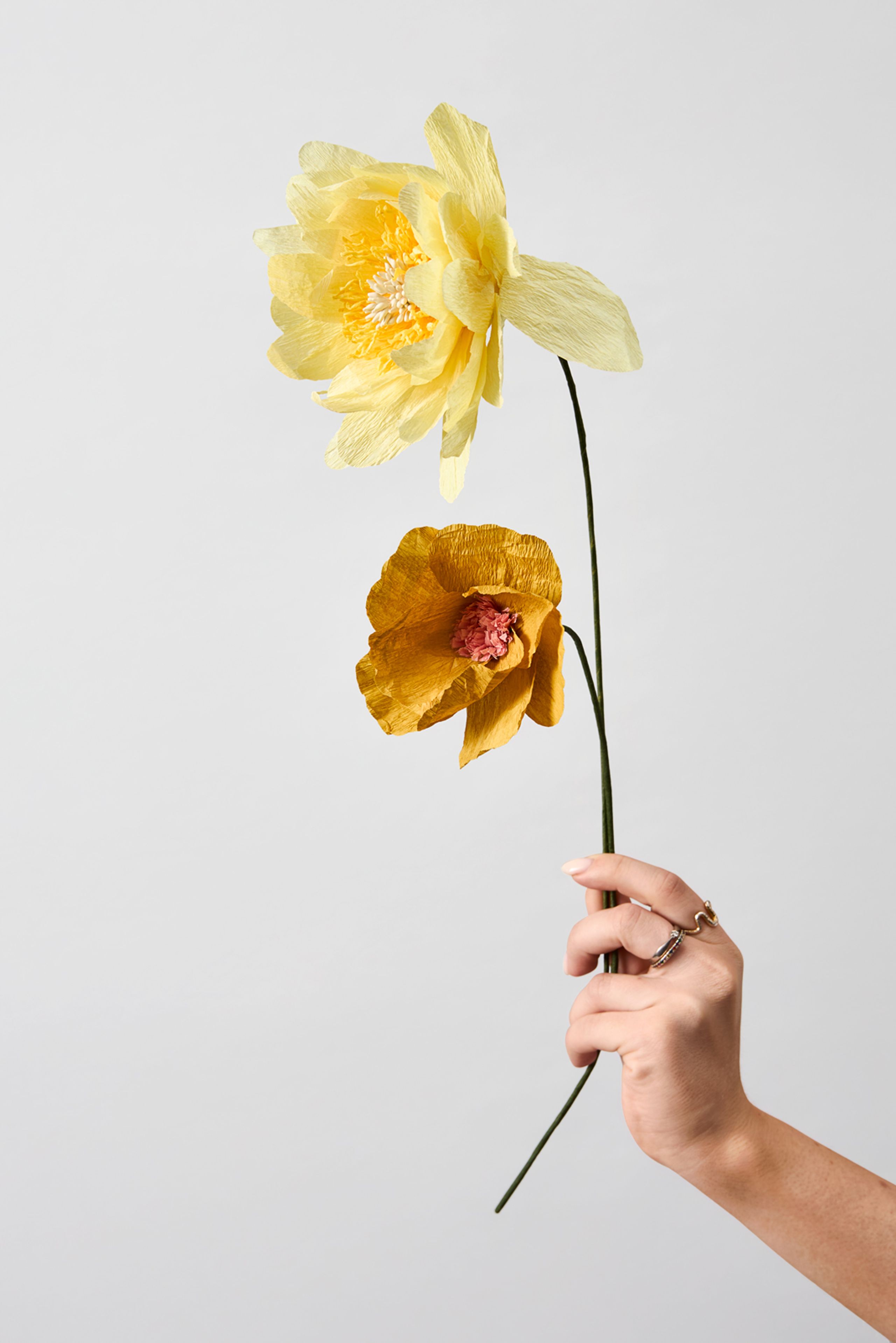 Studio About - Paper Flowers - Paper Flower, Cottage Rose - Yellow