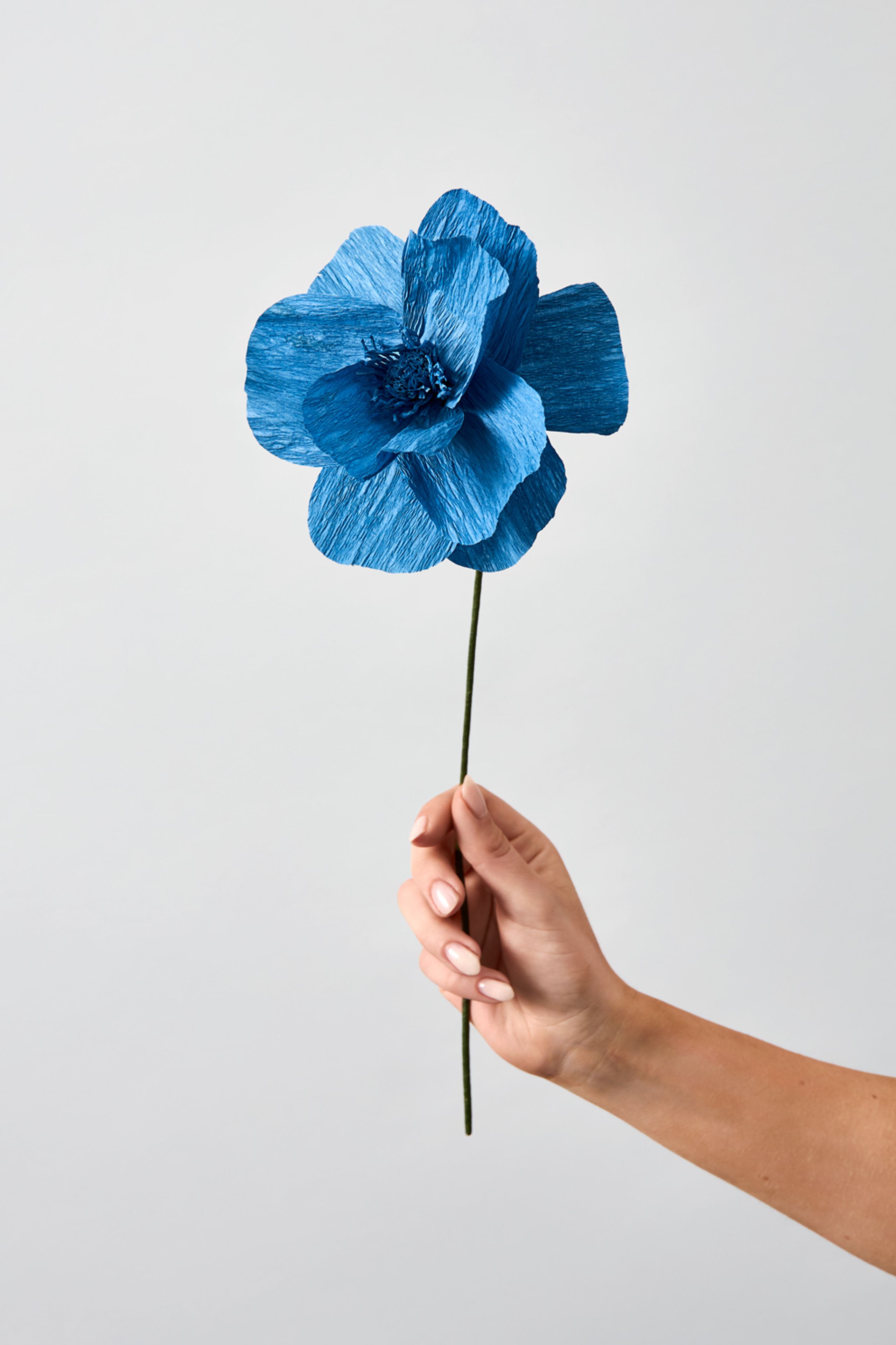 Studio About - Paper Flowers - Paper Flower, Himalayan Poppy - Blue