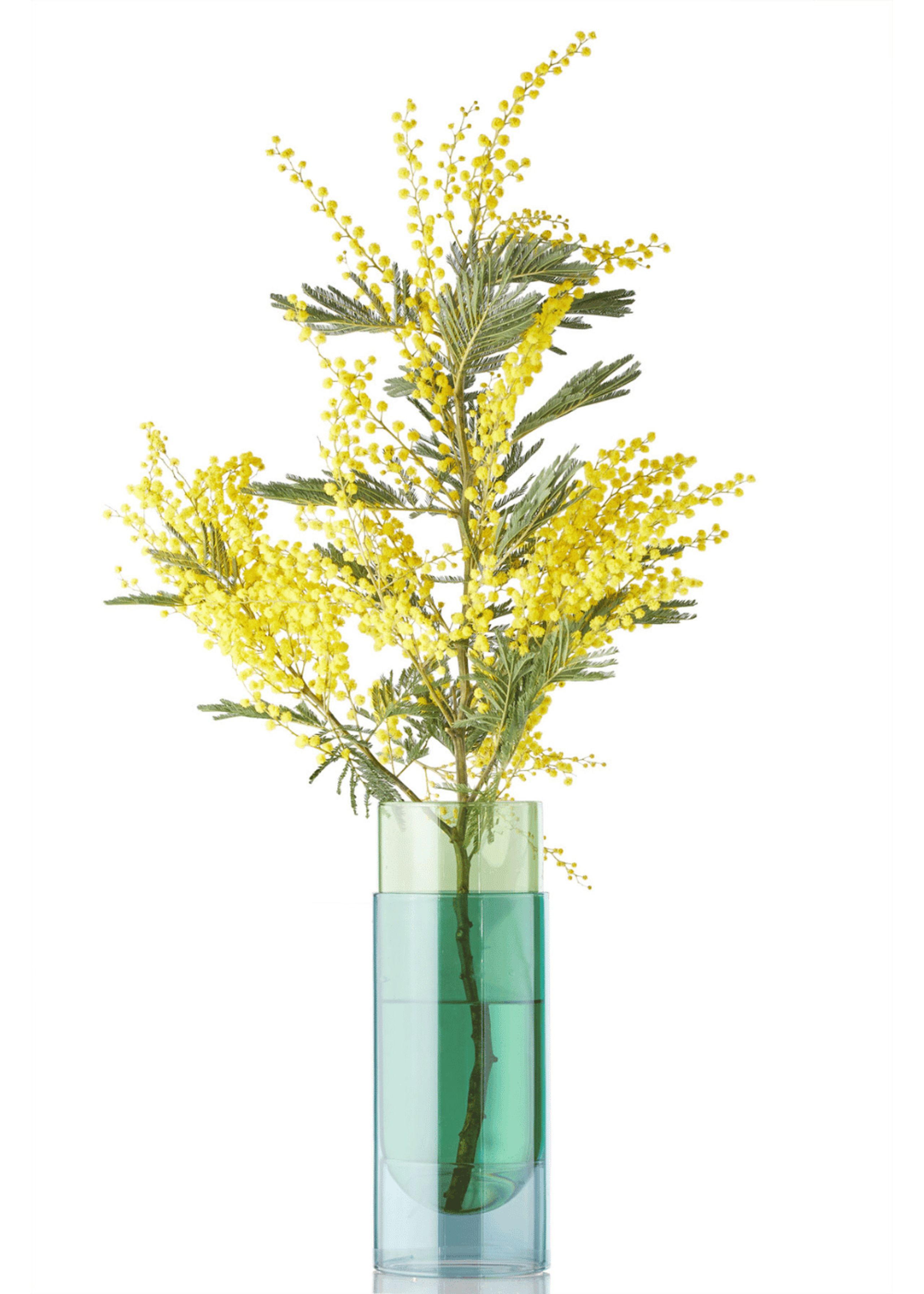 Studio About - Vase - BOUQUET TUBE, LARGE - Blue