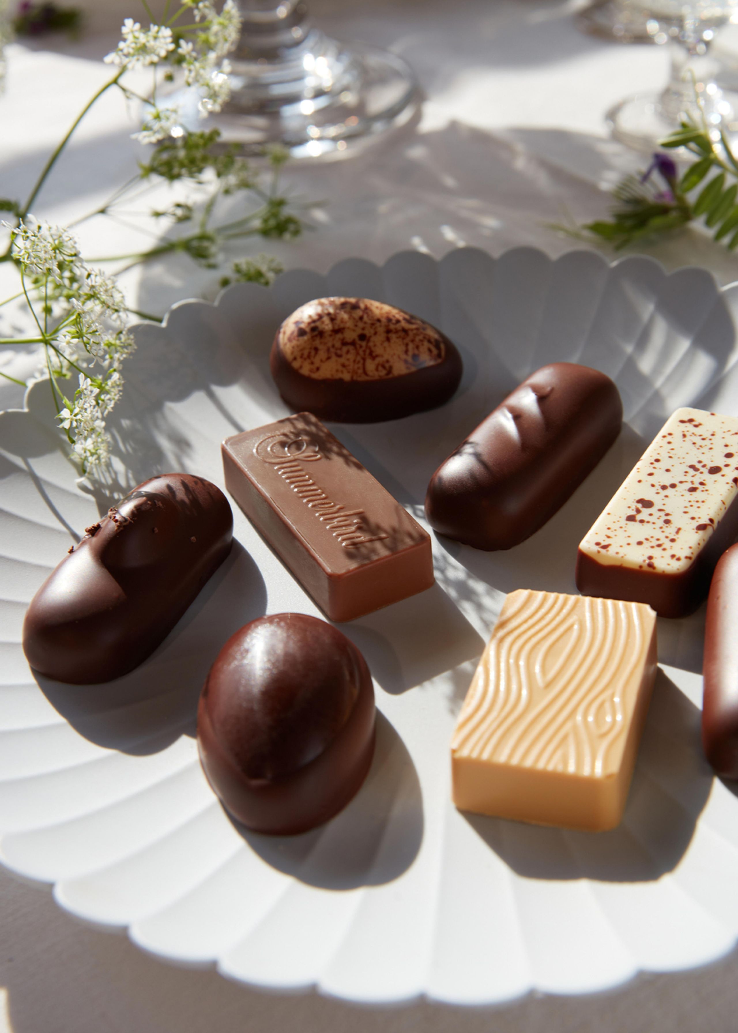 Summerbird - Chocolate - Petit Four 4 - White