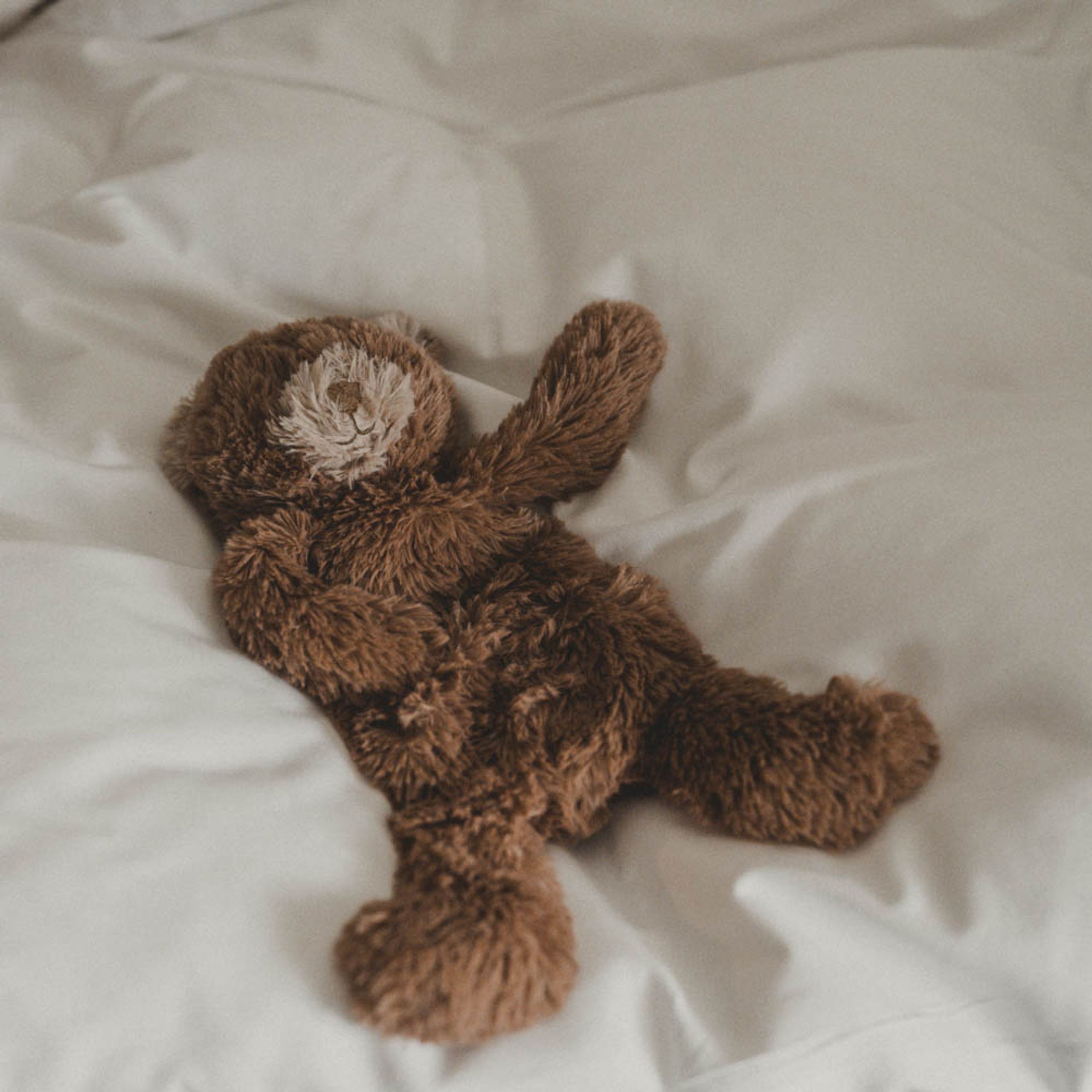 That's Mine - Stuffed Animal - Houston Heavy Teddy Large - Bear