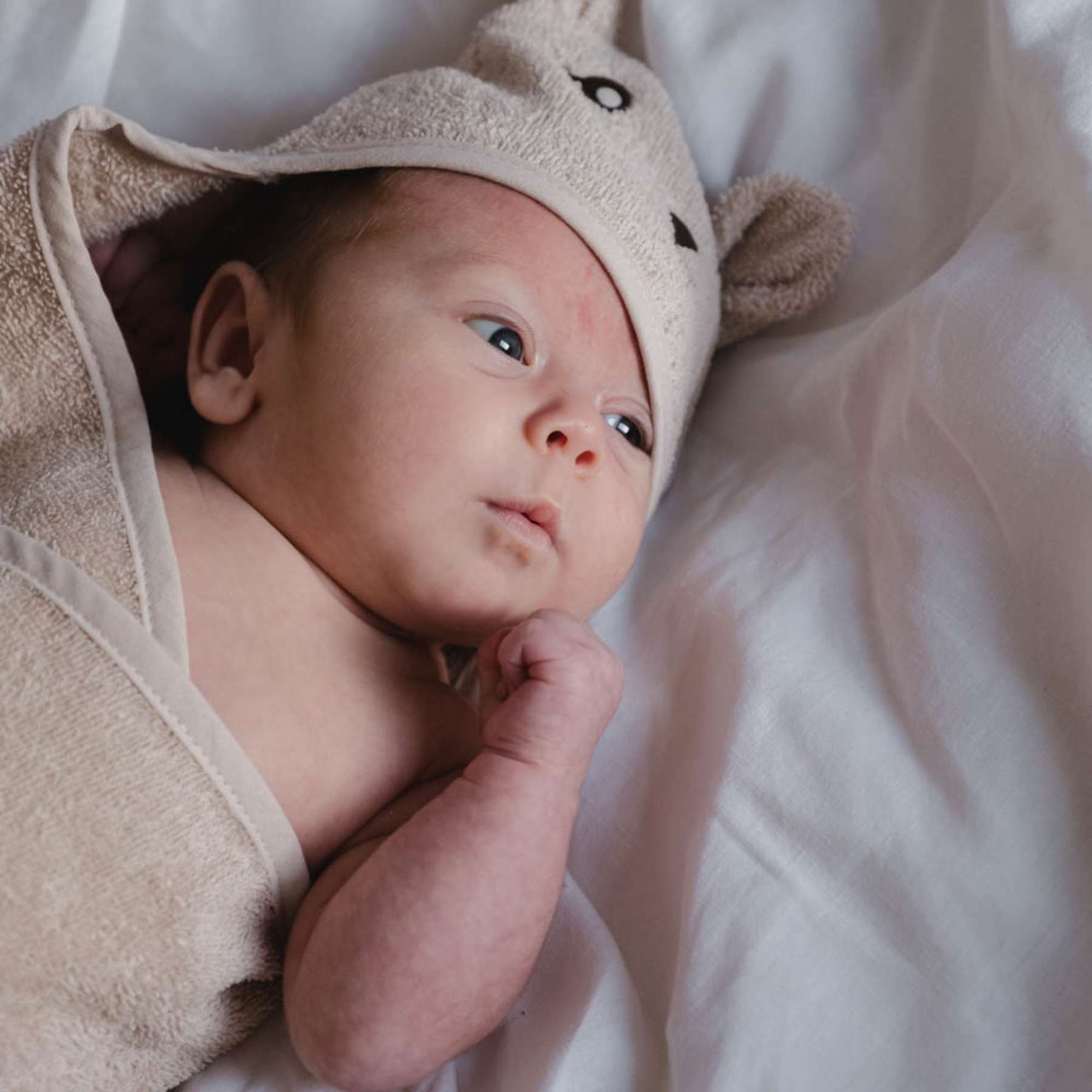 That's Mine - Swaddle - Moly Towel Swaddle - Bunny