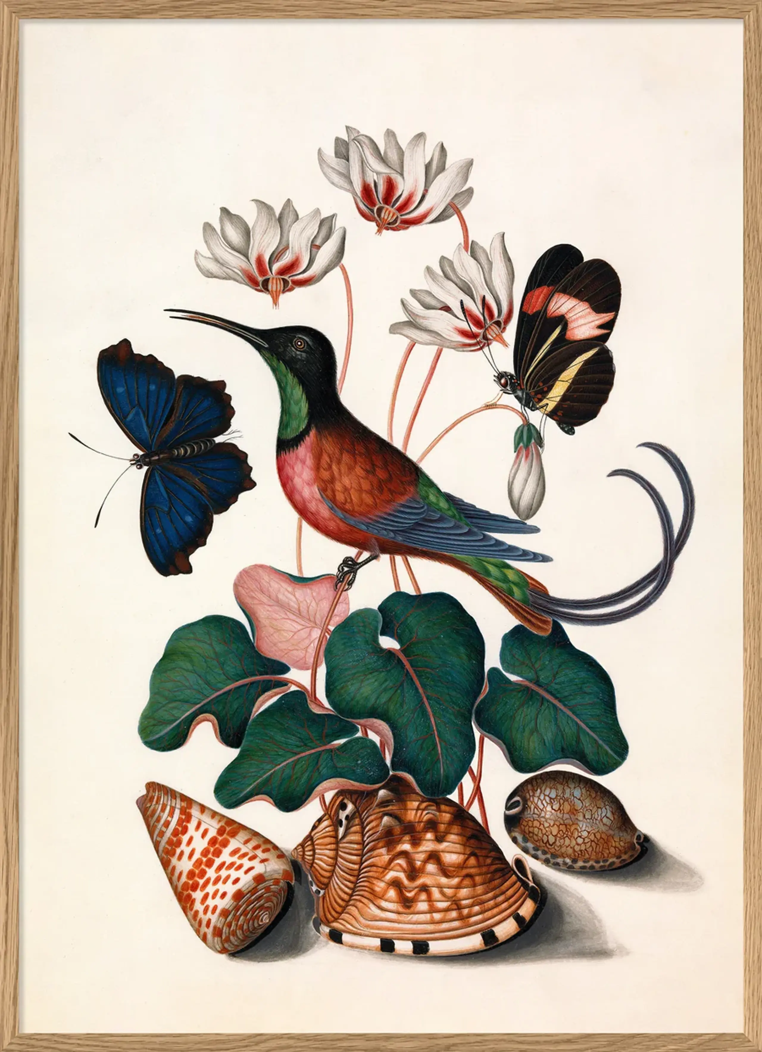 The Dybdahl Co - Poster - HUMMINGBIRD, BUTTERFLIES & FLOWERS - Hummingbird, Butterflies & Flowers