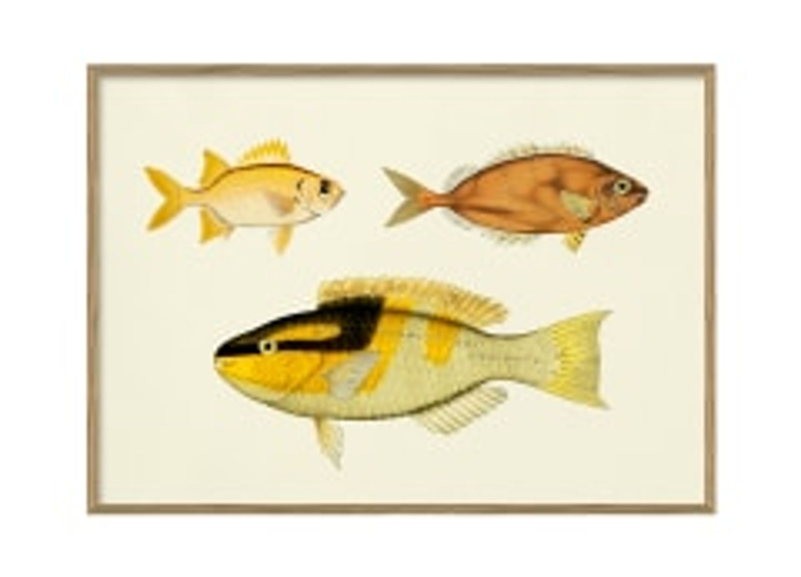 The Dybdahl Co - Poster - Golden Hues 3916H # - Golden Hues 3916H #