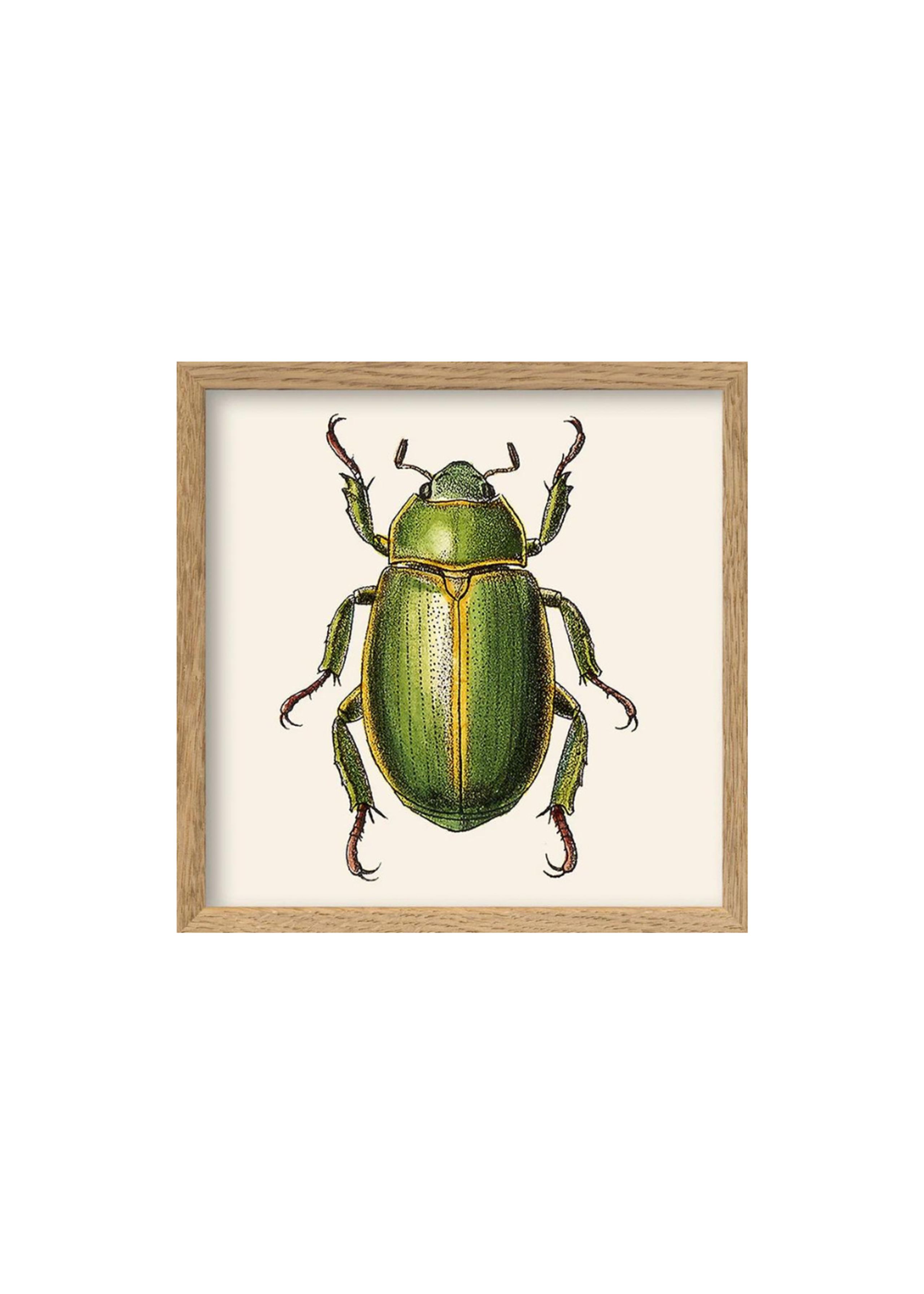 The Dybdahl Co - Poster - Green Insect - Green Insect