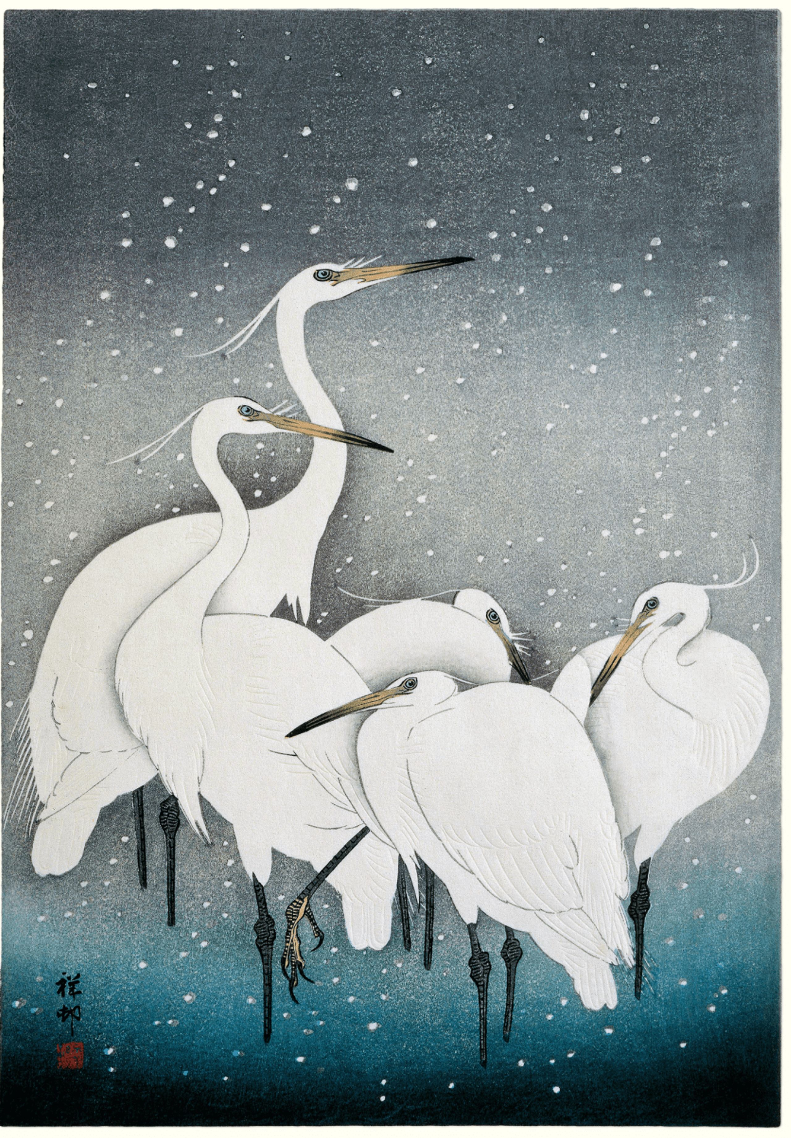 The Dybdahl Co - Poster - Snowy Herons #4830 - Snowy Herons