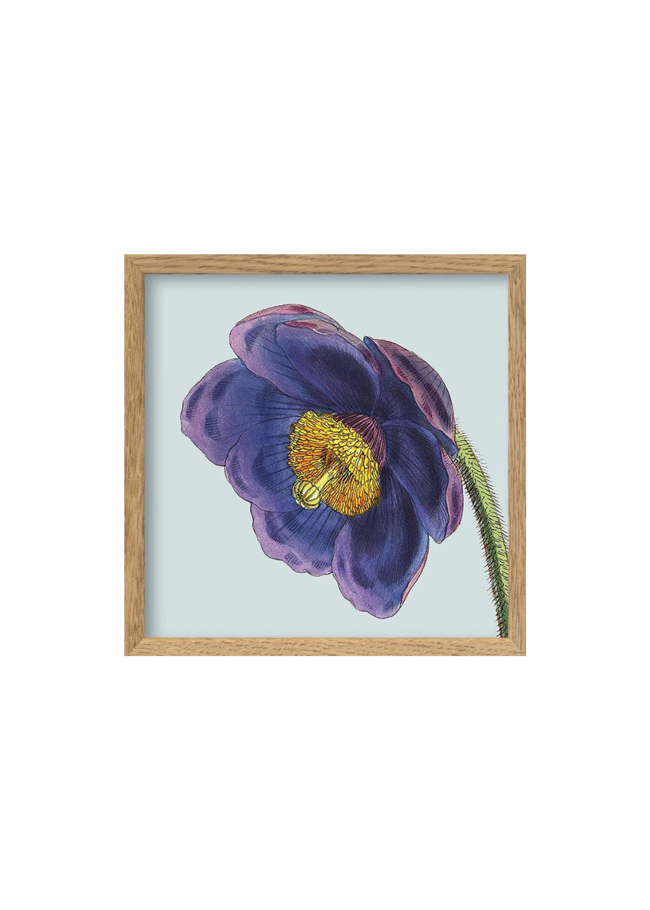 The Dybdahl Co - Poster - Purple Flower Poster - Light Purple Flower / Oak