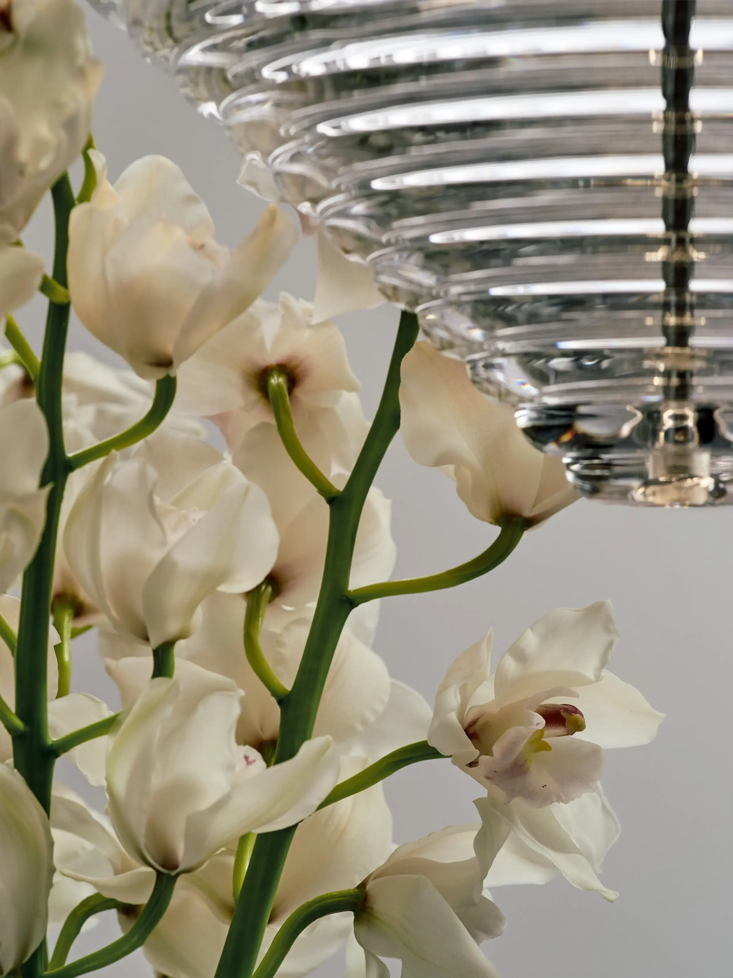 Tom Dixon - Lampa wisząca - Press Pendant Cone Led - Gloss Clear