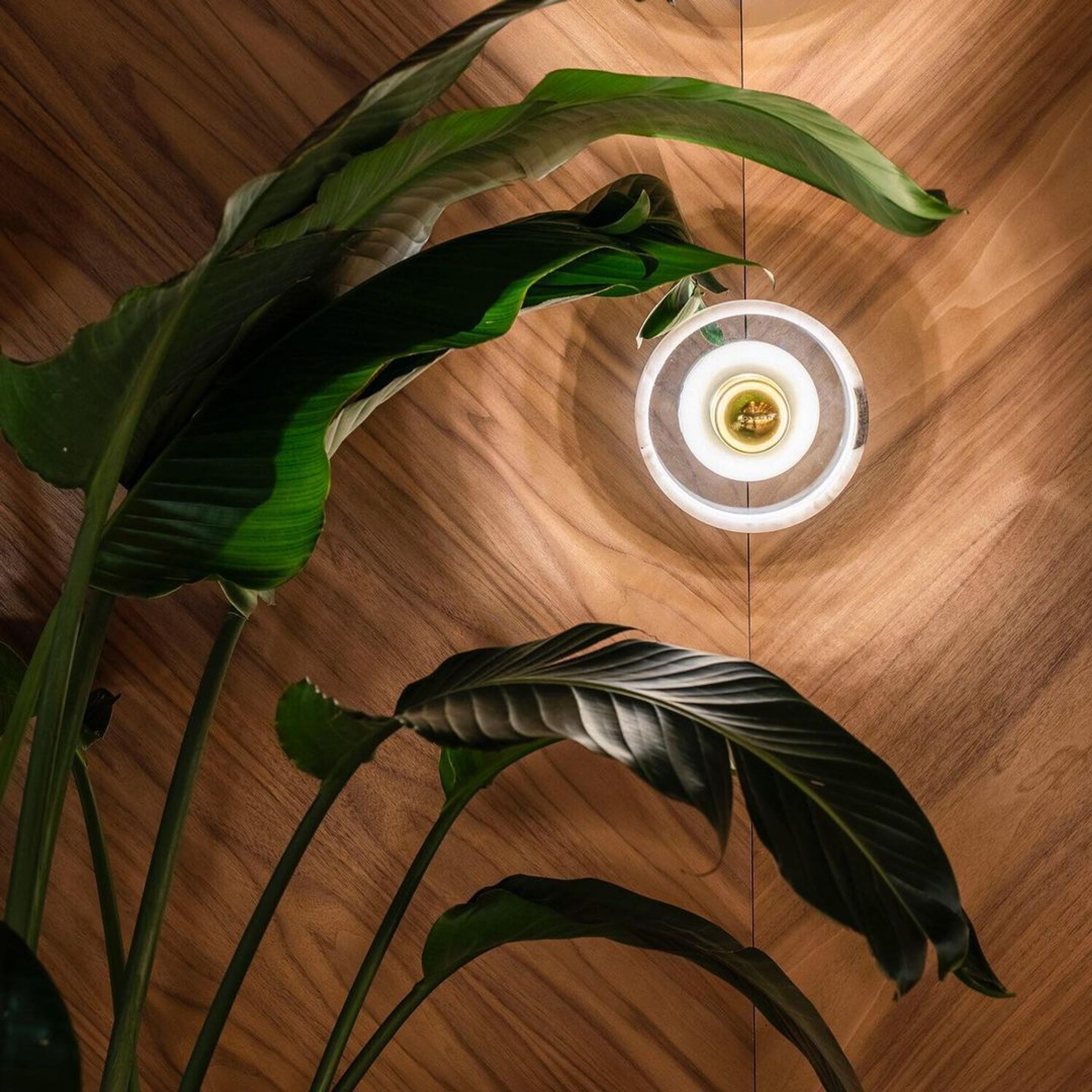 Tom Dixon - Wall lamp - Stone Wall LED - Polished Marble / Gold