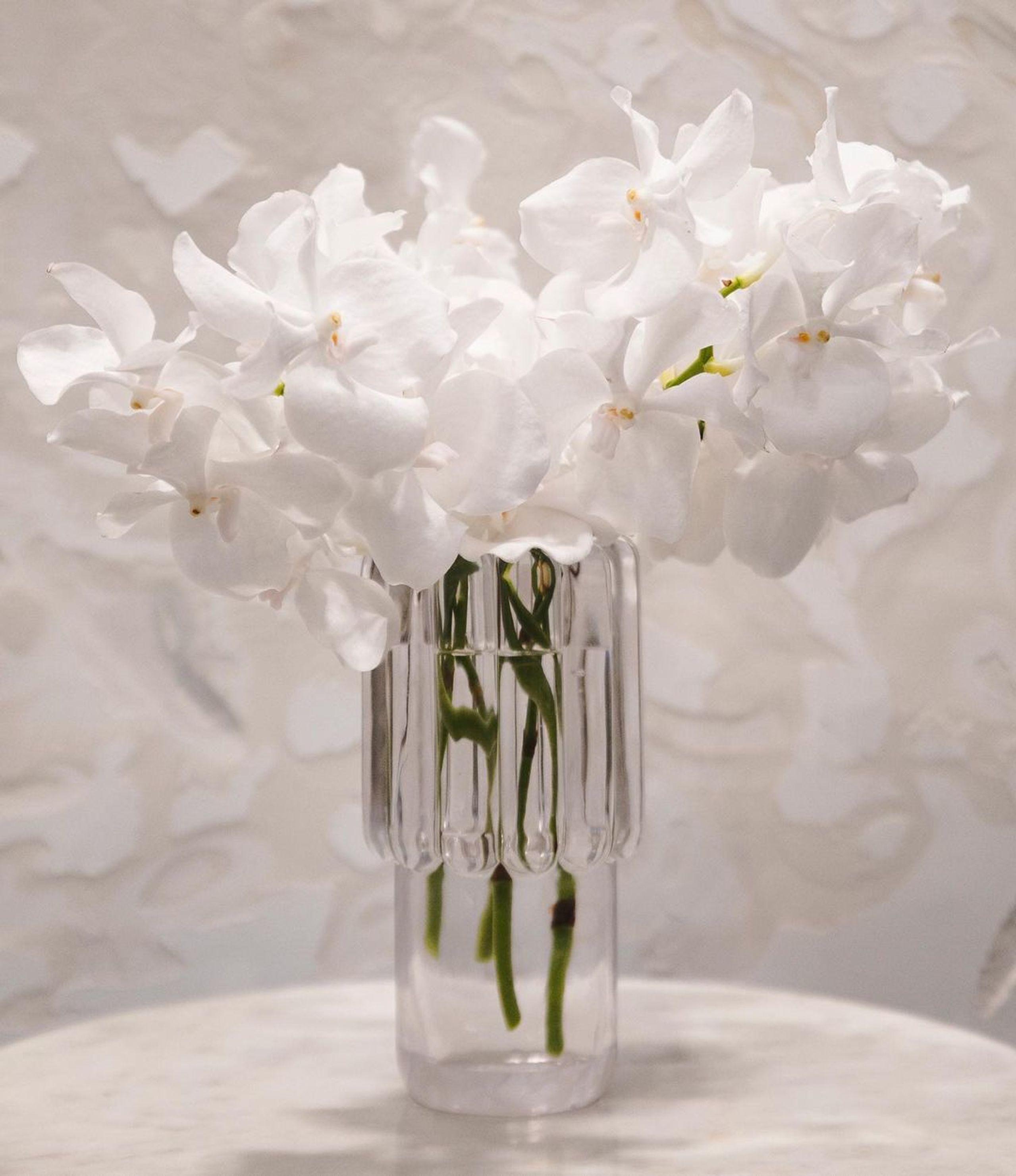 Tom Dixon - Vase - Press Vase - Clear - Medium