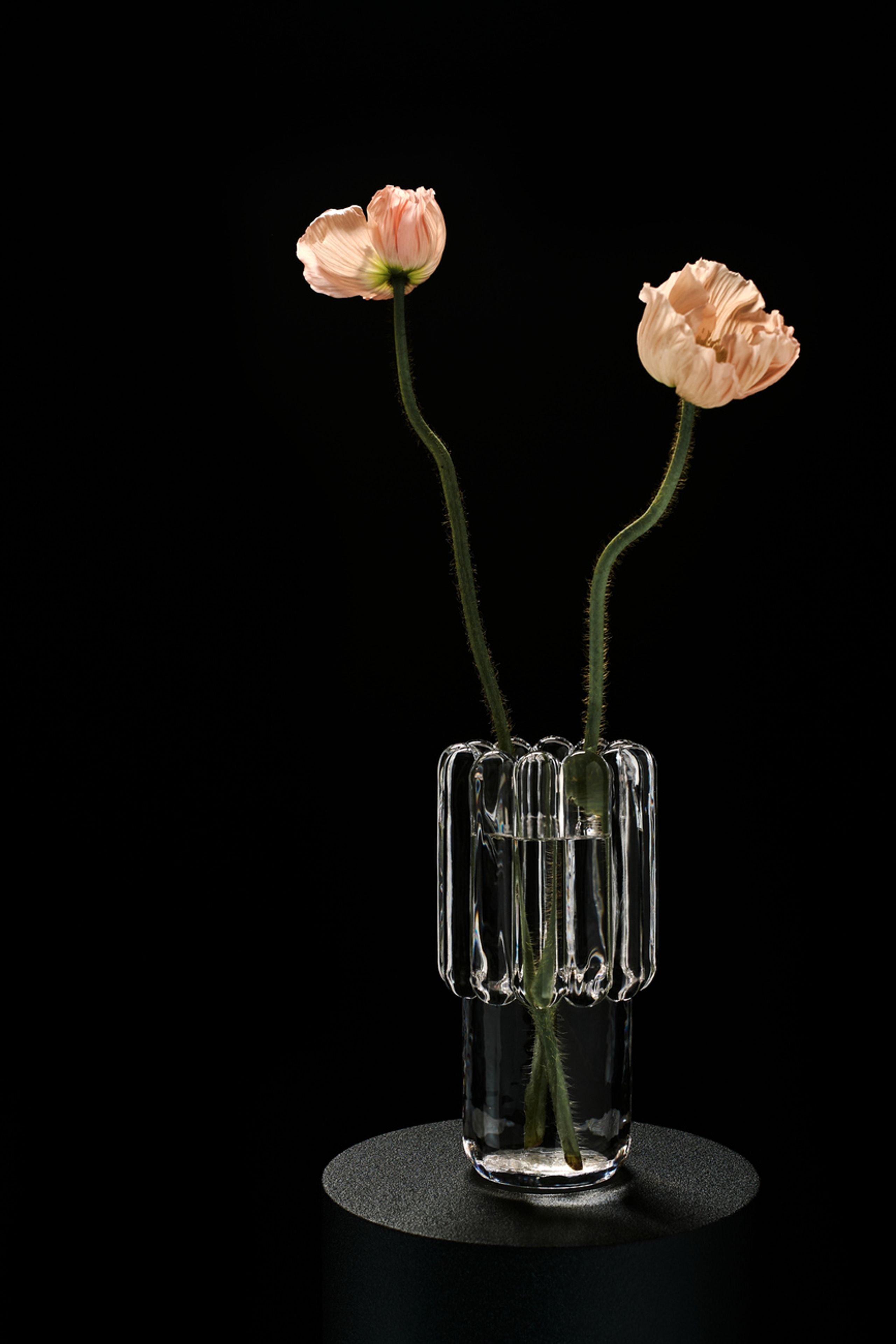Tom Dixon - Vase - Press Vase - Clear - Medium