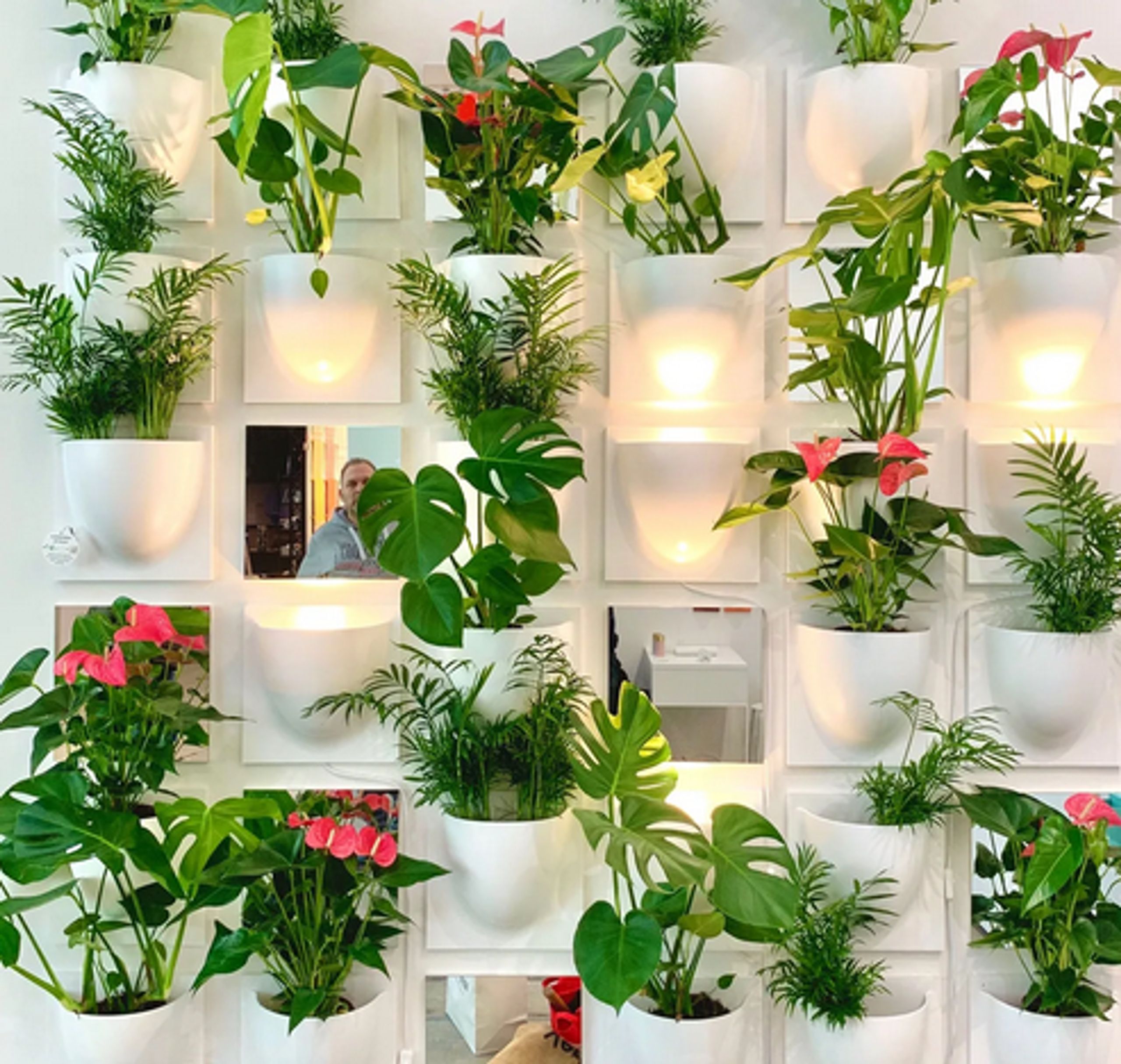 Verti Copenhagen - Väggfästen - Vertiplants BIO - Brown Beige / Large