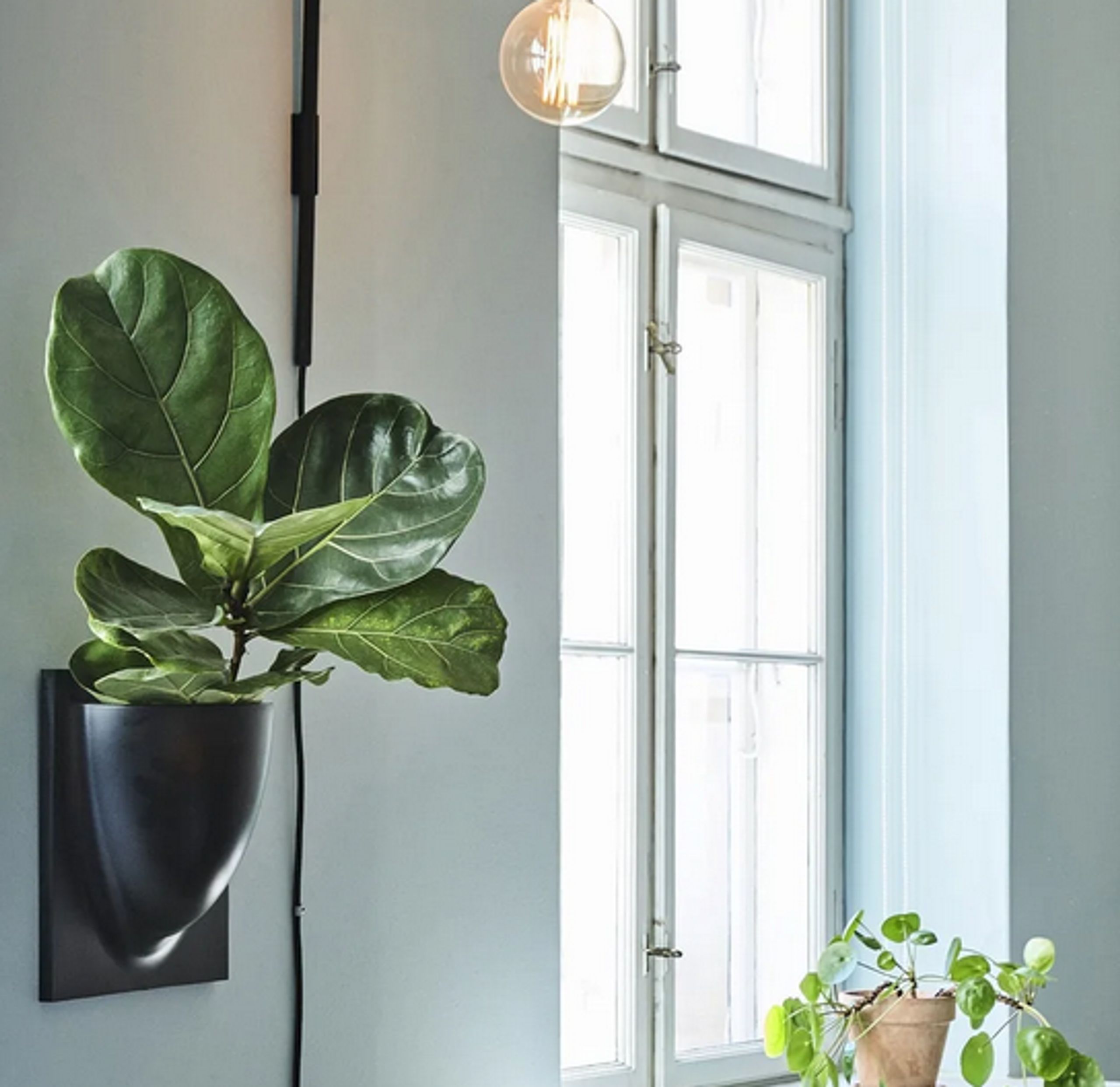 Verti Copenhagen - Ophæng - Vertiplants BIO - Dusty Blue / Large