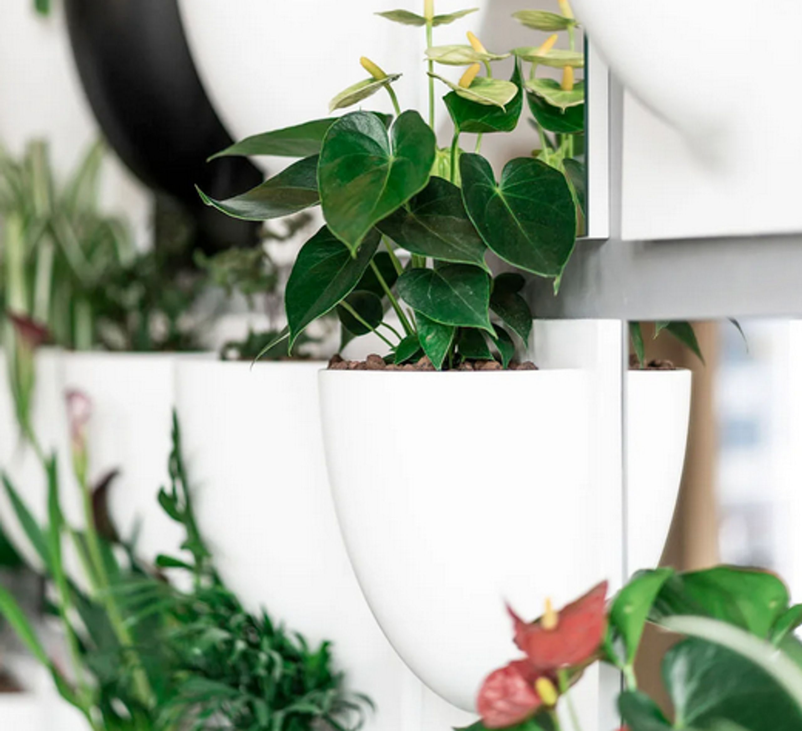Verti Copenhagen - Hanging Objects - Vertiplants BIO - Dusty Green / Mini