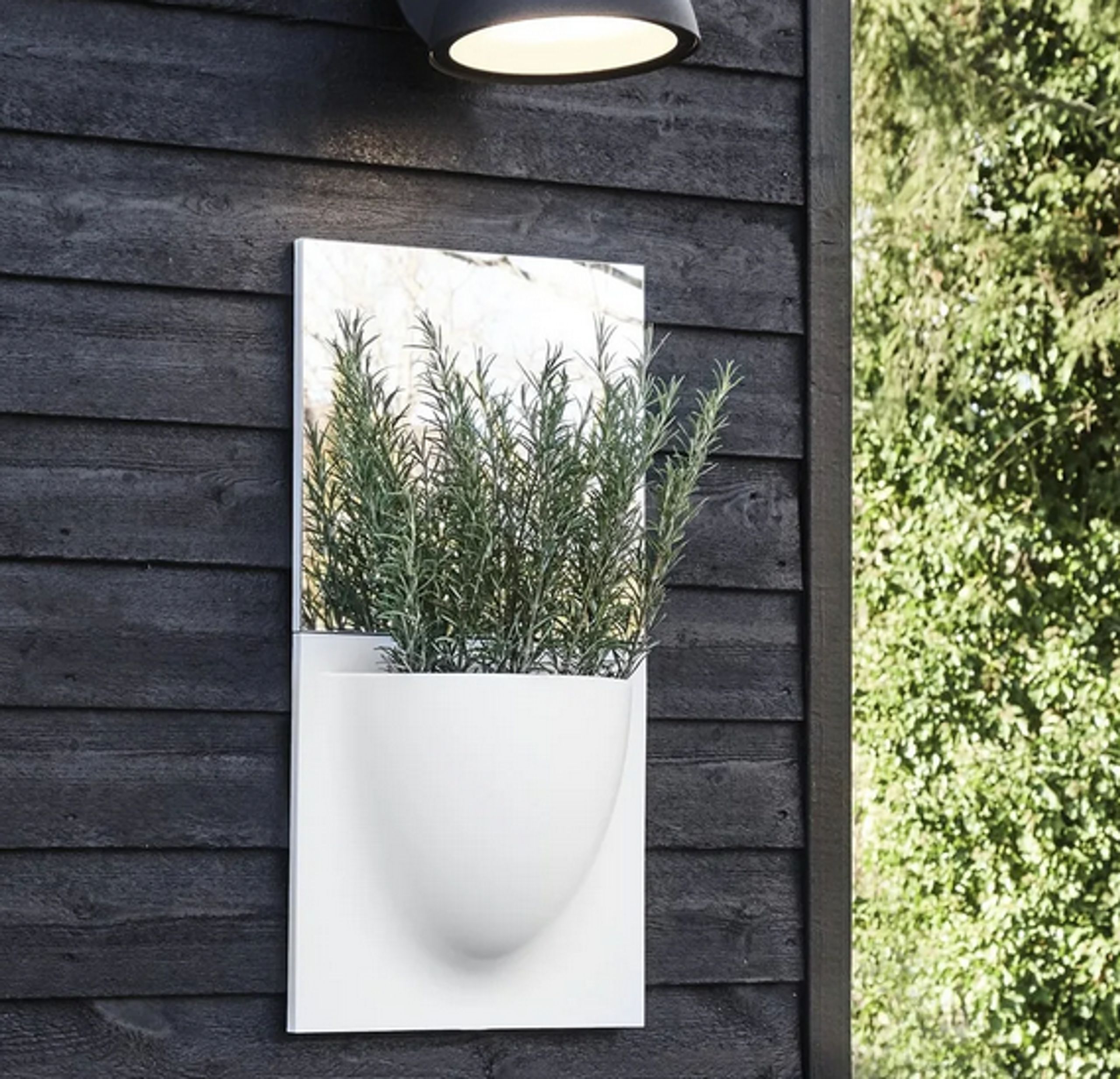 Verti Copenhagen - - Vertiplants BIO - Dusty Rose / Mini