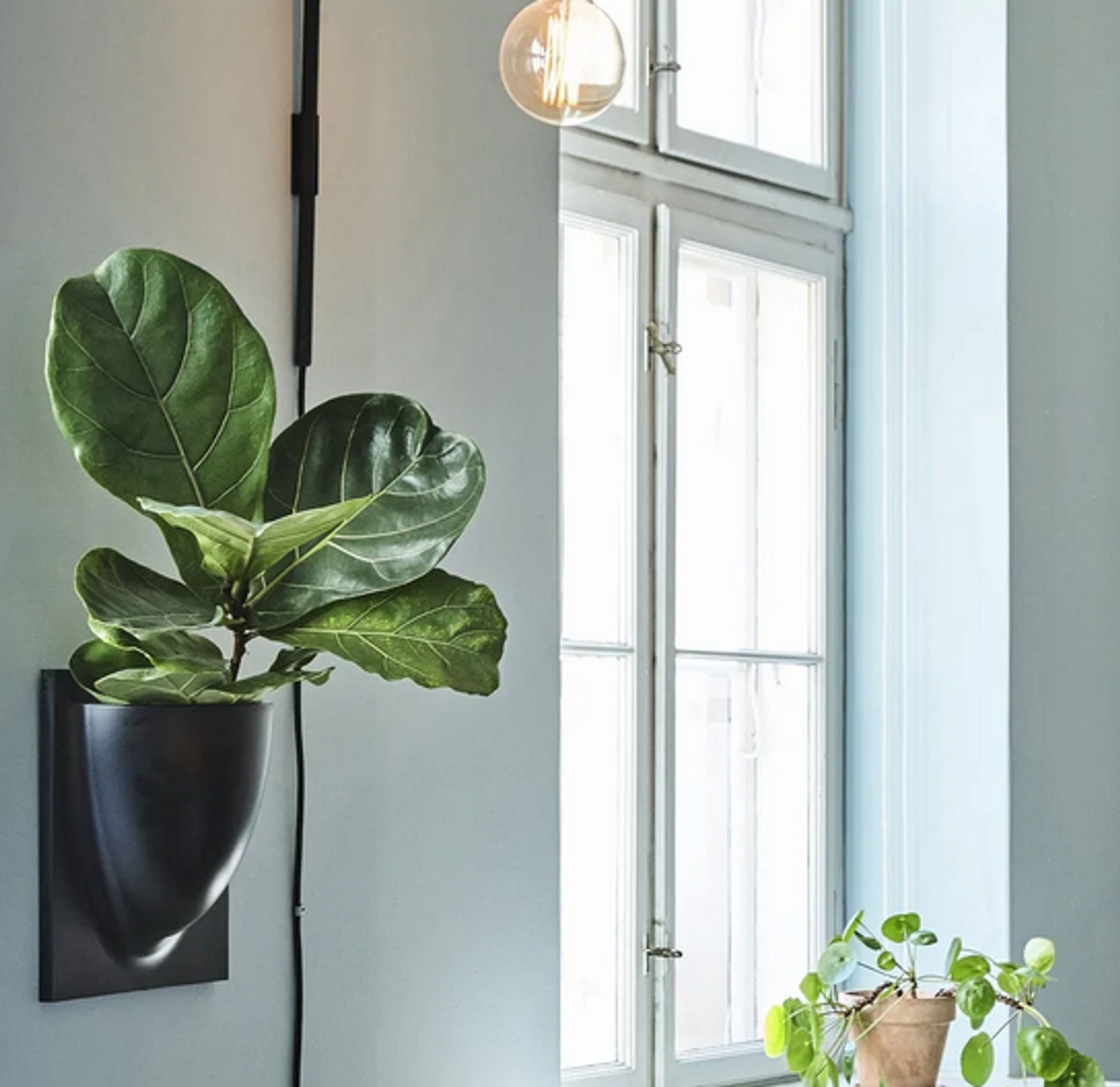 Verti Copenhagen - Ophæng - Vertiplants BIO - Oyster White / Large