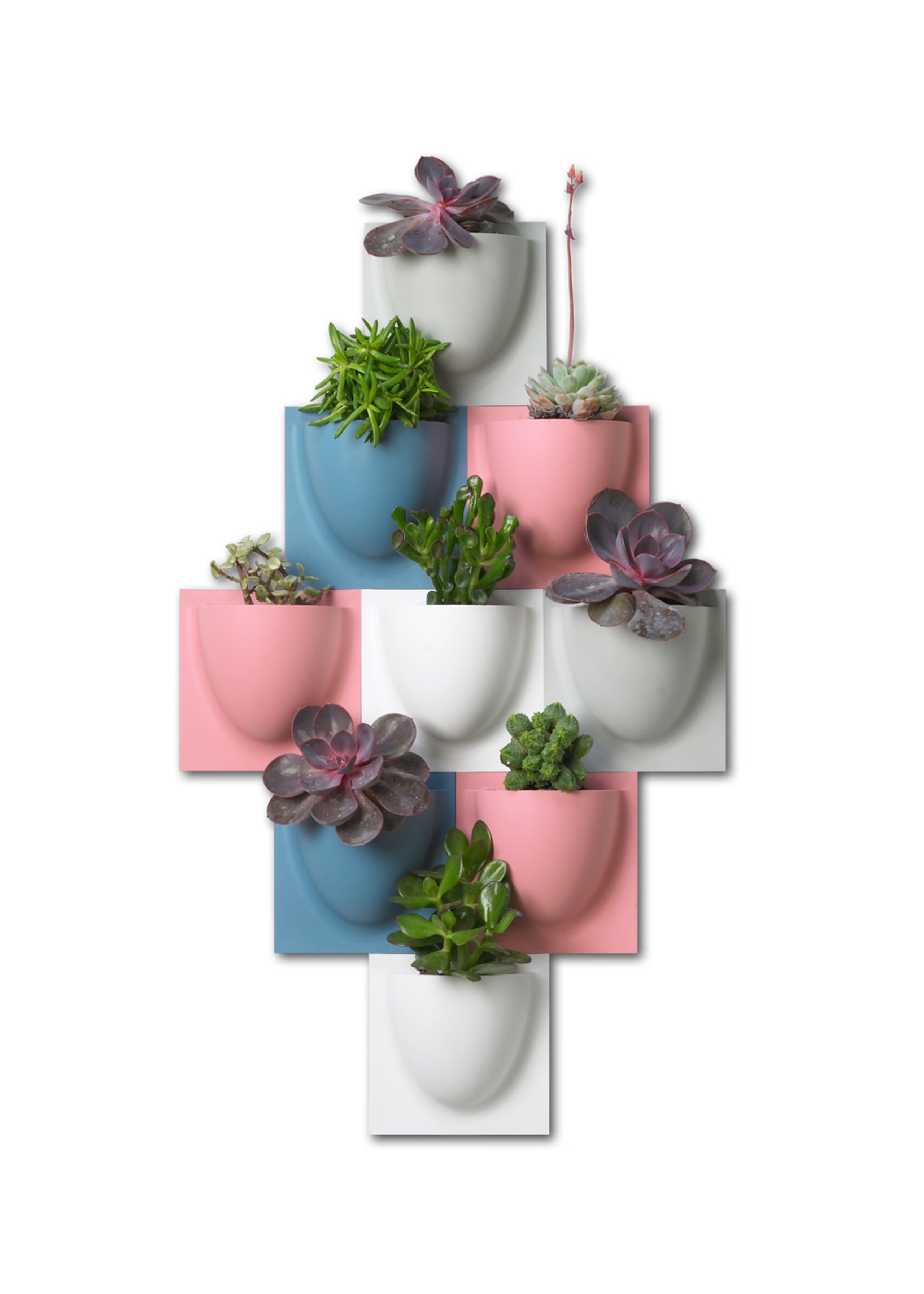 VertiPlants - Wandriem - Wallpot - White / Mini