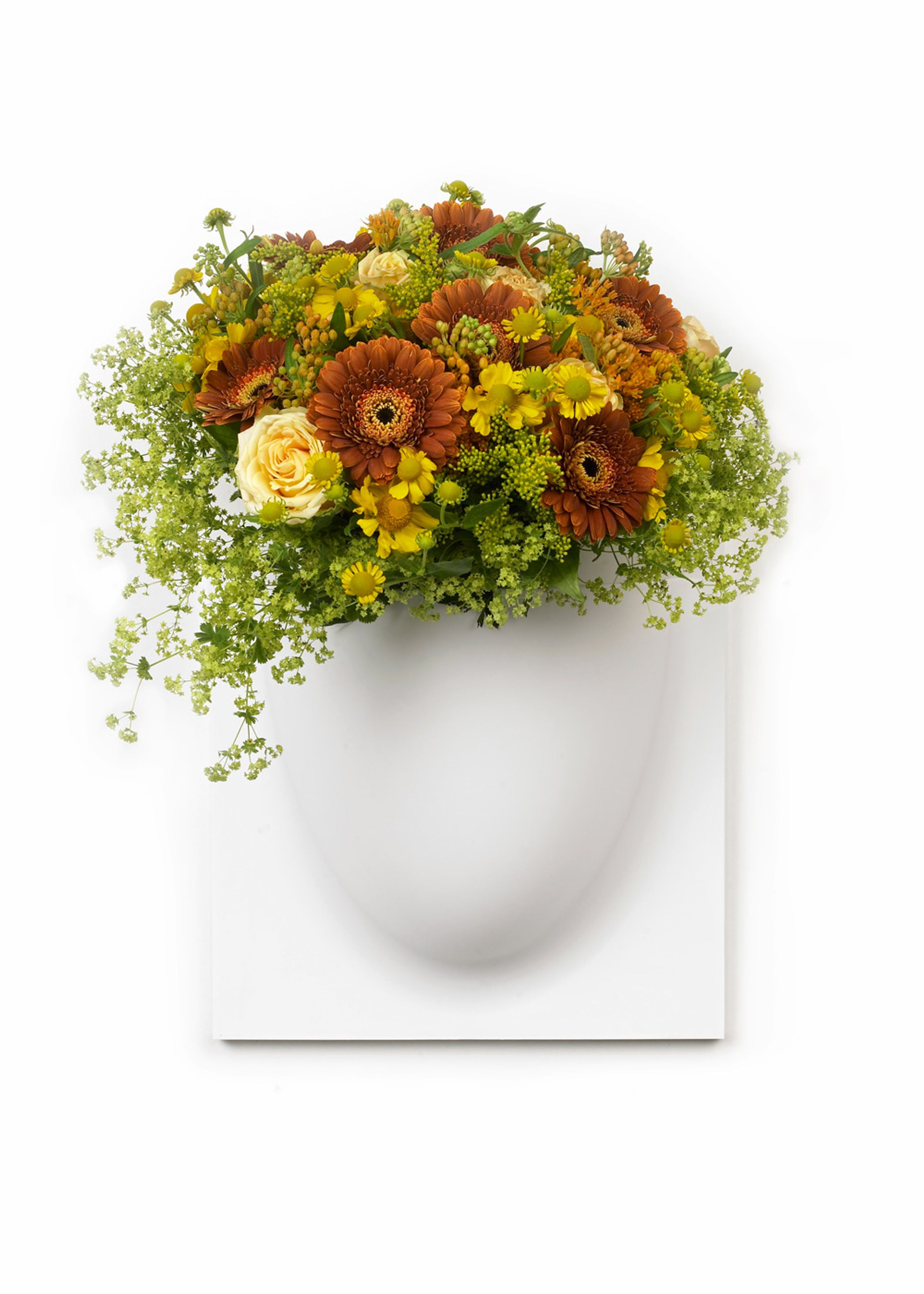 VertiPlants - Wandriem - Wallpot - White / Mini