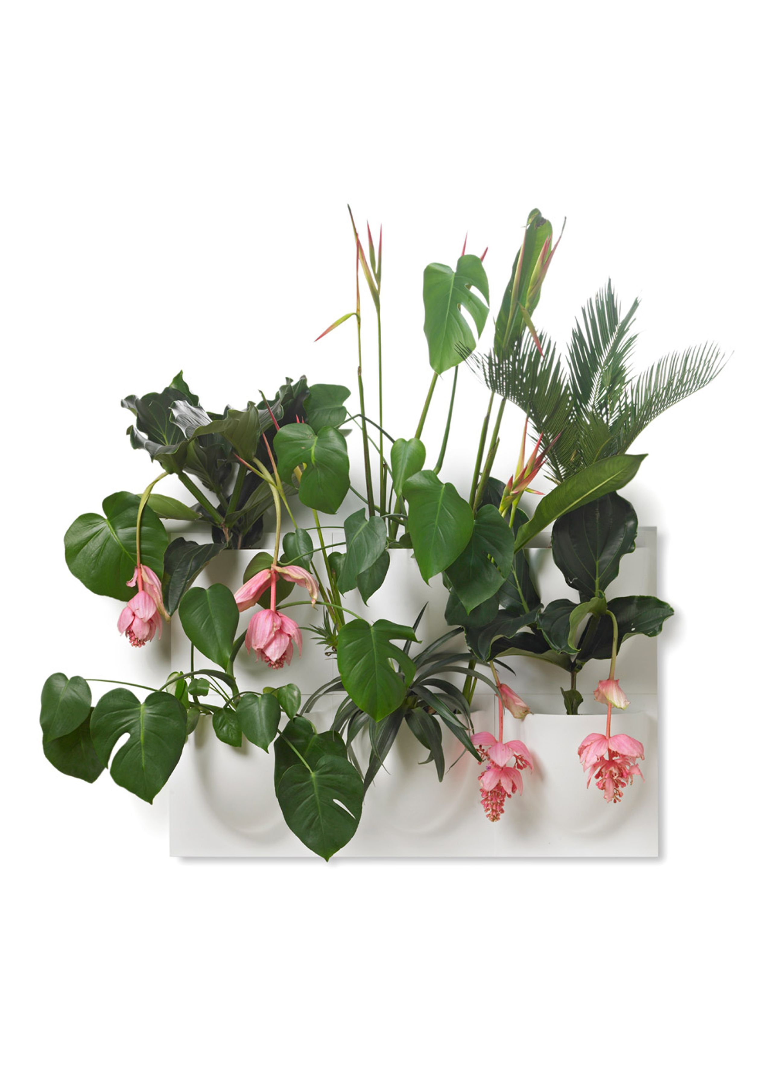 VertiPlants - Wandriem - Wallpot - White / Mini