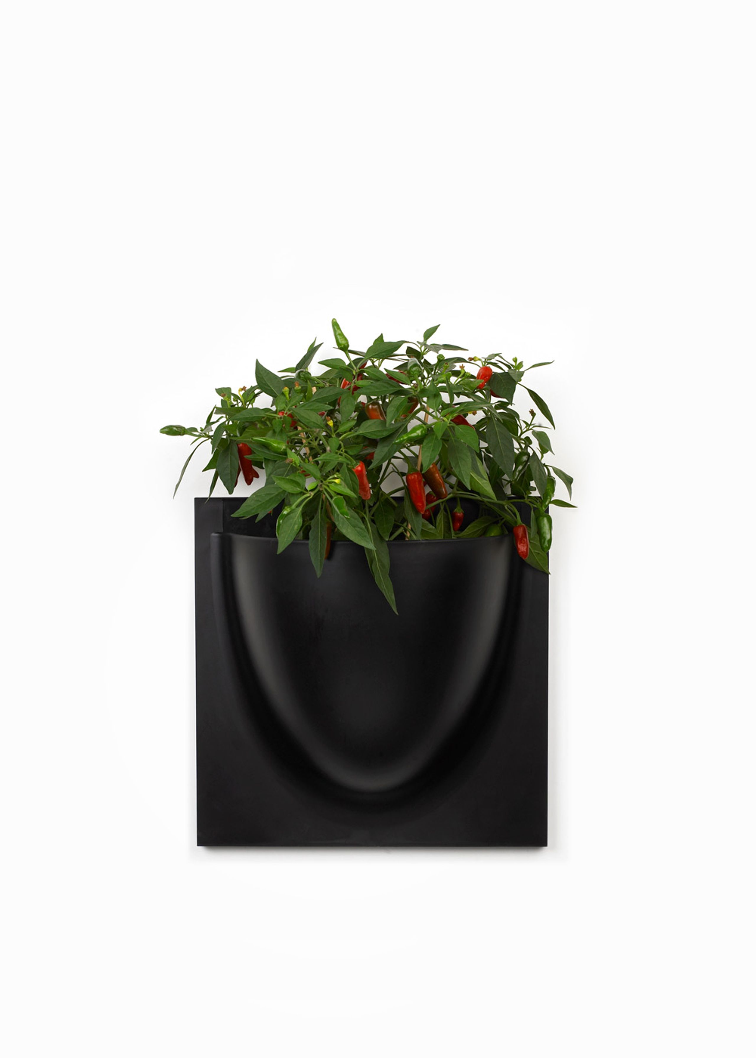 Verti Copenhagen - Obiekty wiszące - Vertiplants BIO - Black / Large