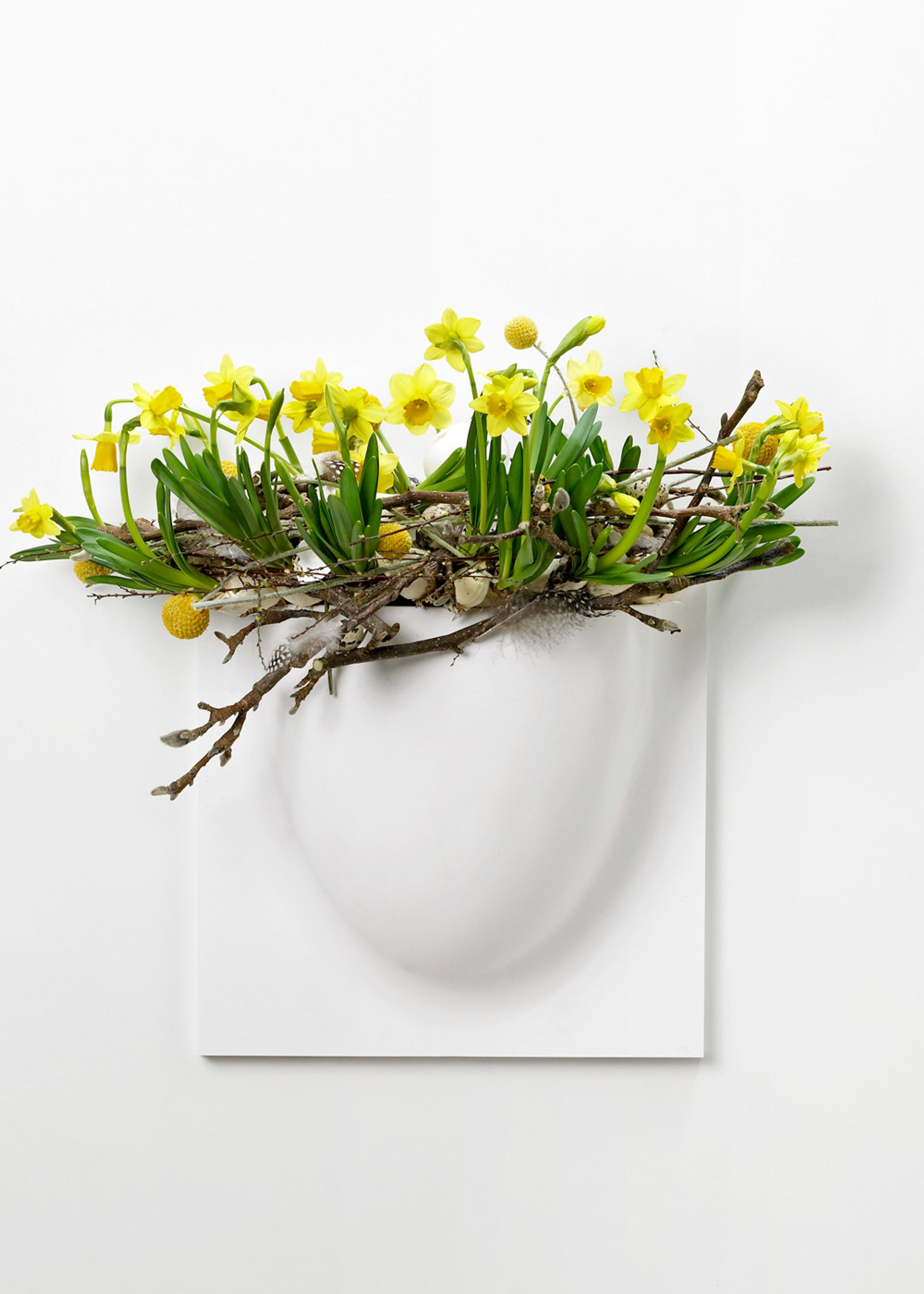 VertiPlants - Wandriem - Wallpot - White / Mini