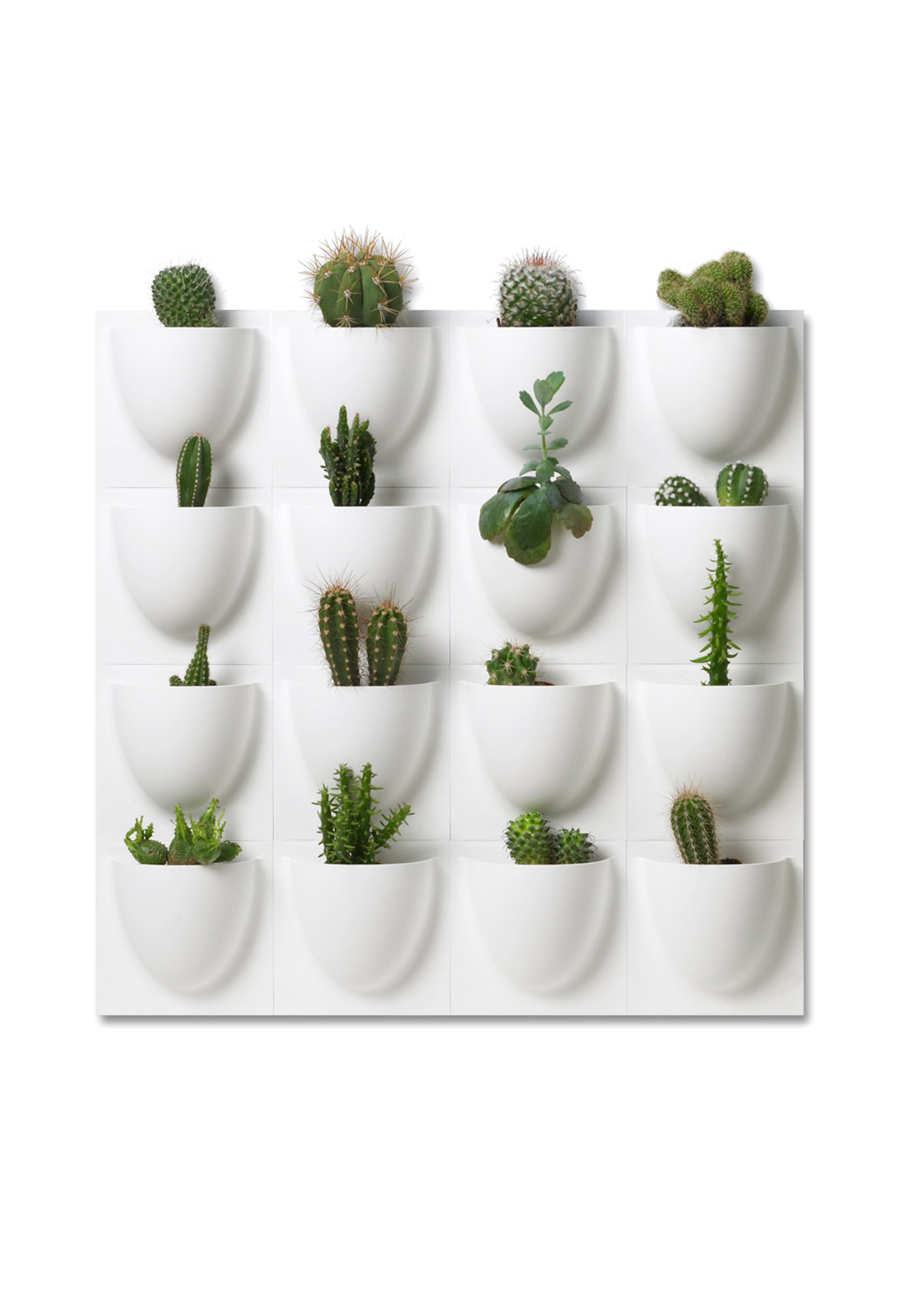 VertiPlants - Wandriem - Wallpot - White / Mini