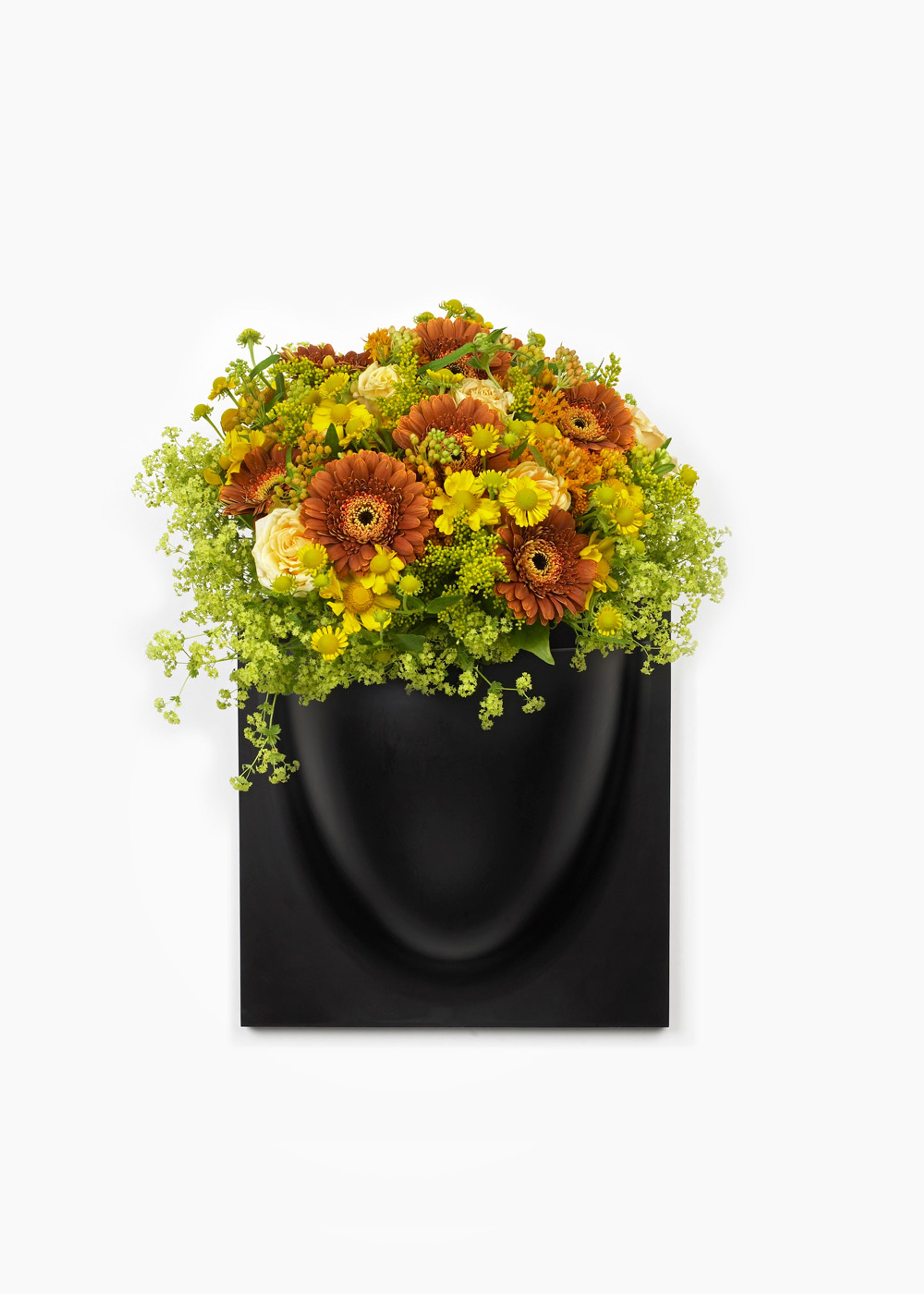 Verti Copenhagen - Obiekty wiszące - Vertiplants BIO - Black / Large