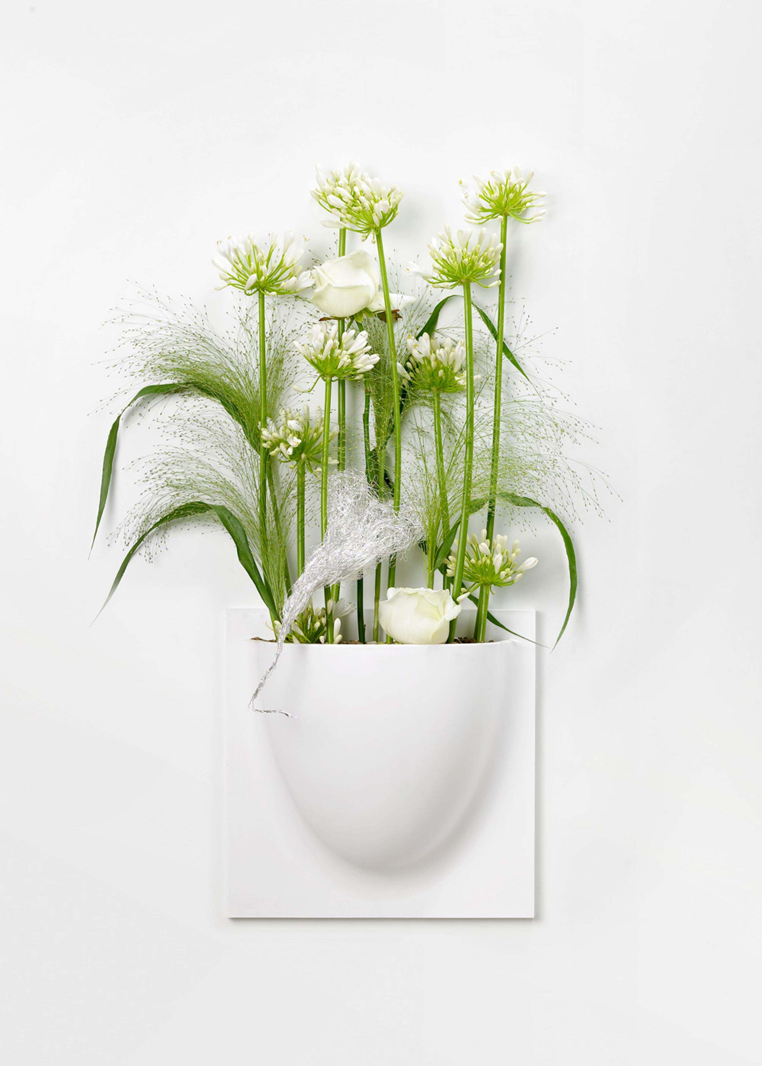 VertiPlants - Wandriem - Wallpot - White / Mini