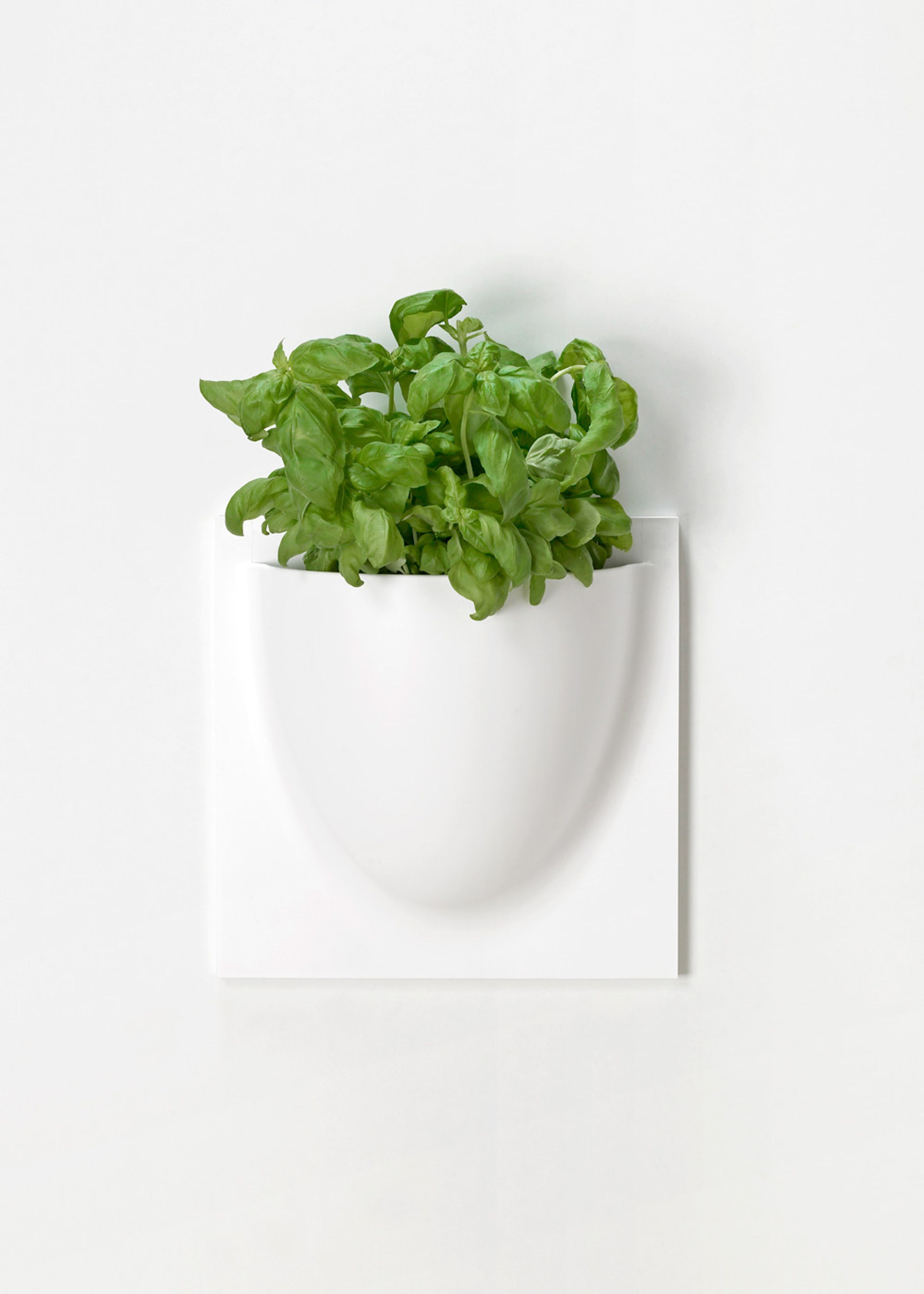 VertiPlants - Wandriem - Wallpot - White / Mini