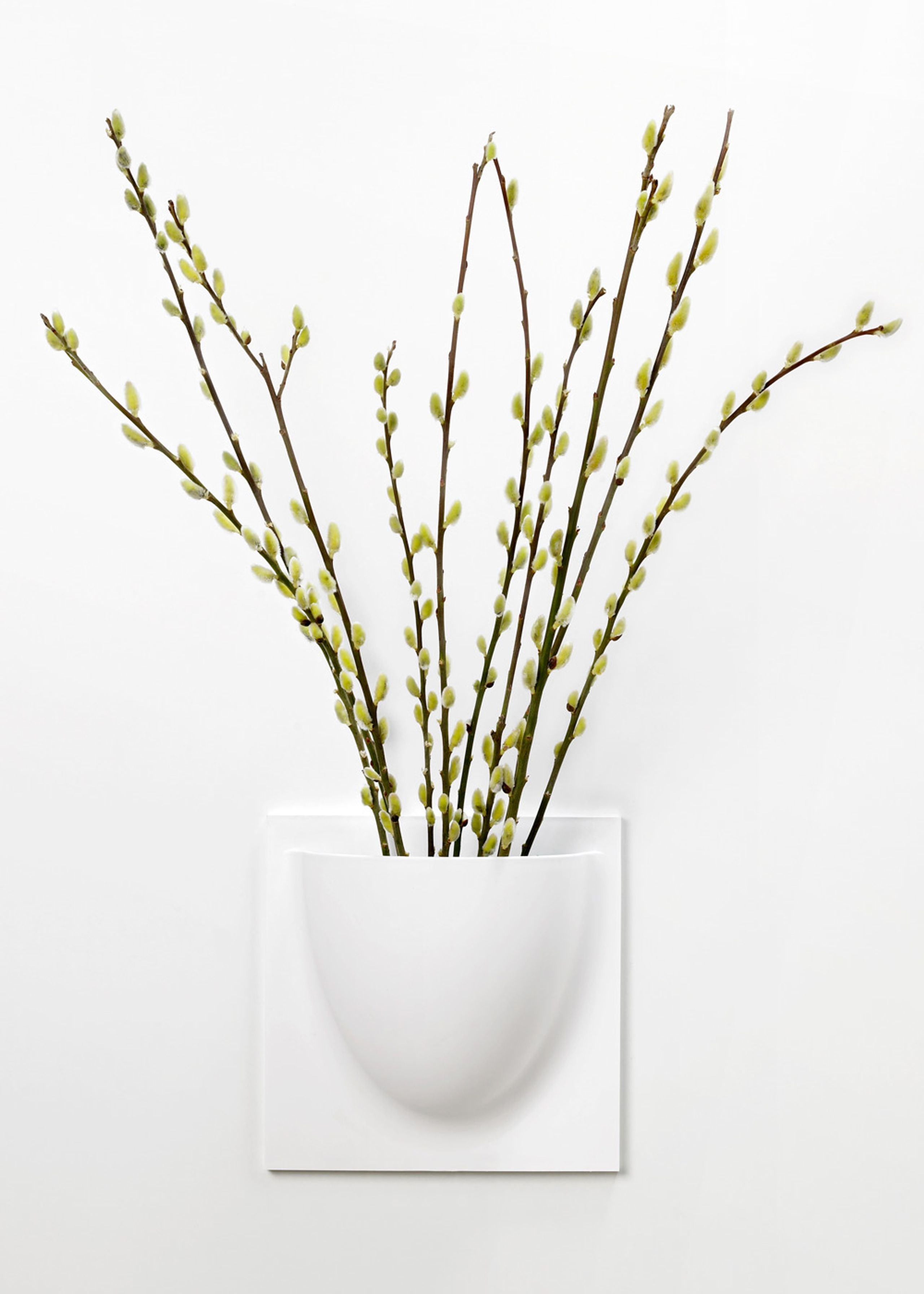 VertiPlants - Wandriem - Wallpot - White / Mini