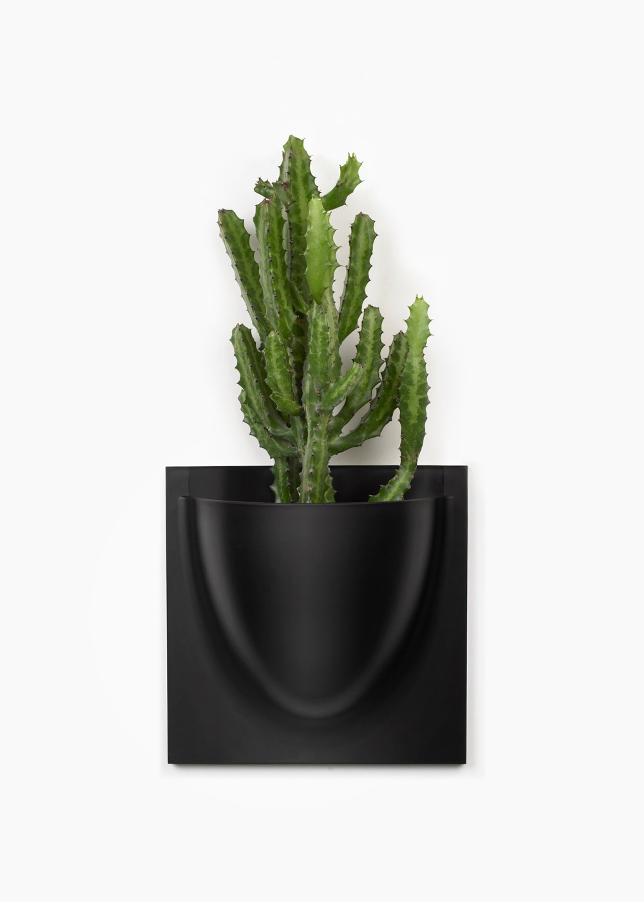 Verti Copenhagen - Obiekty wiszące - Vertiplants BIO - Black / Large