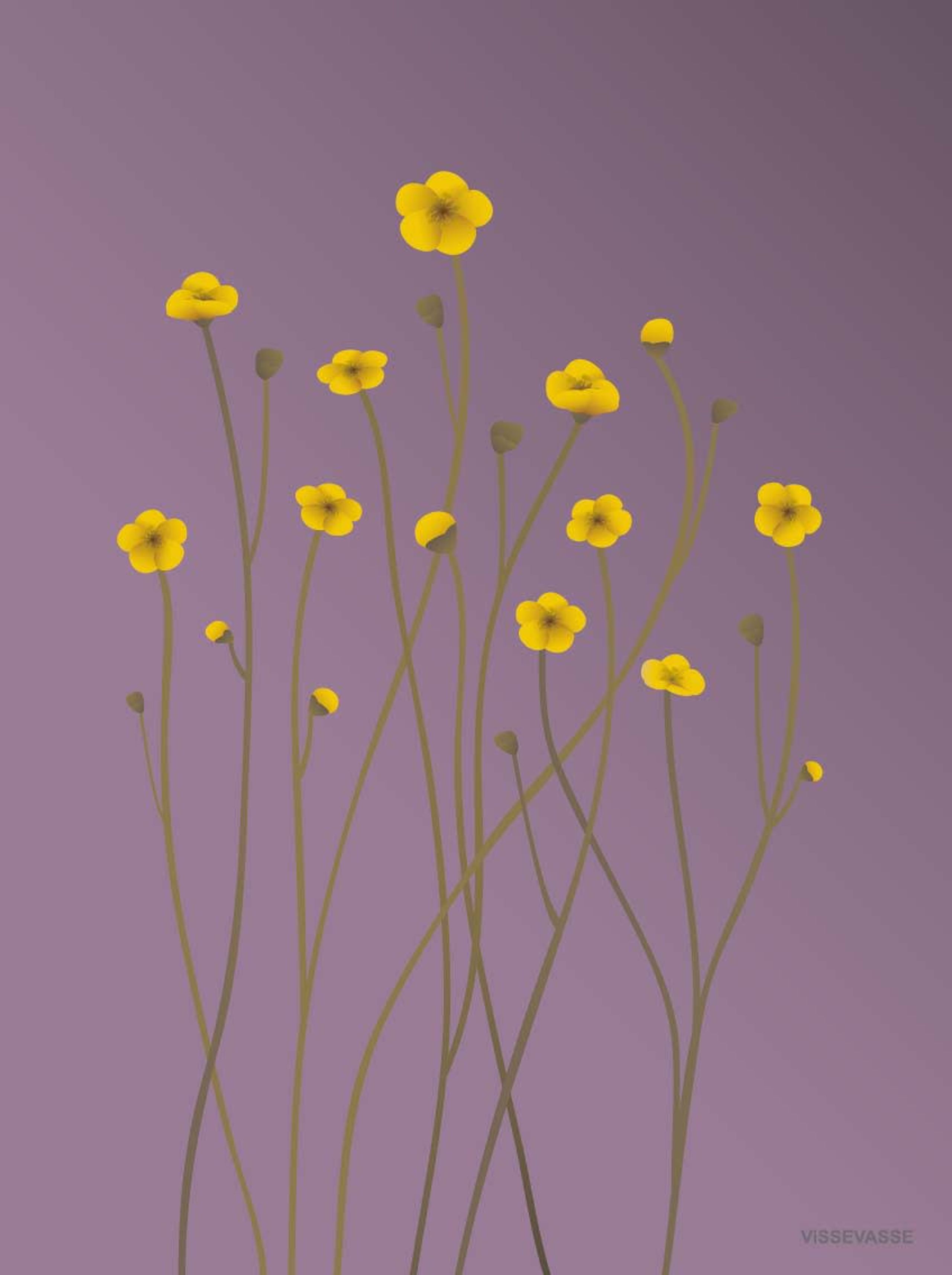 ViSSEVASSE - Cards - Purple greeting card - Buttercup