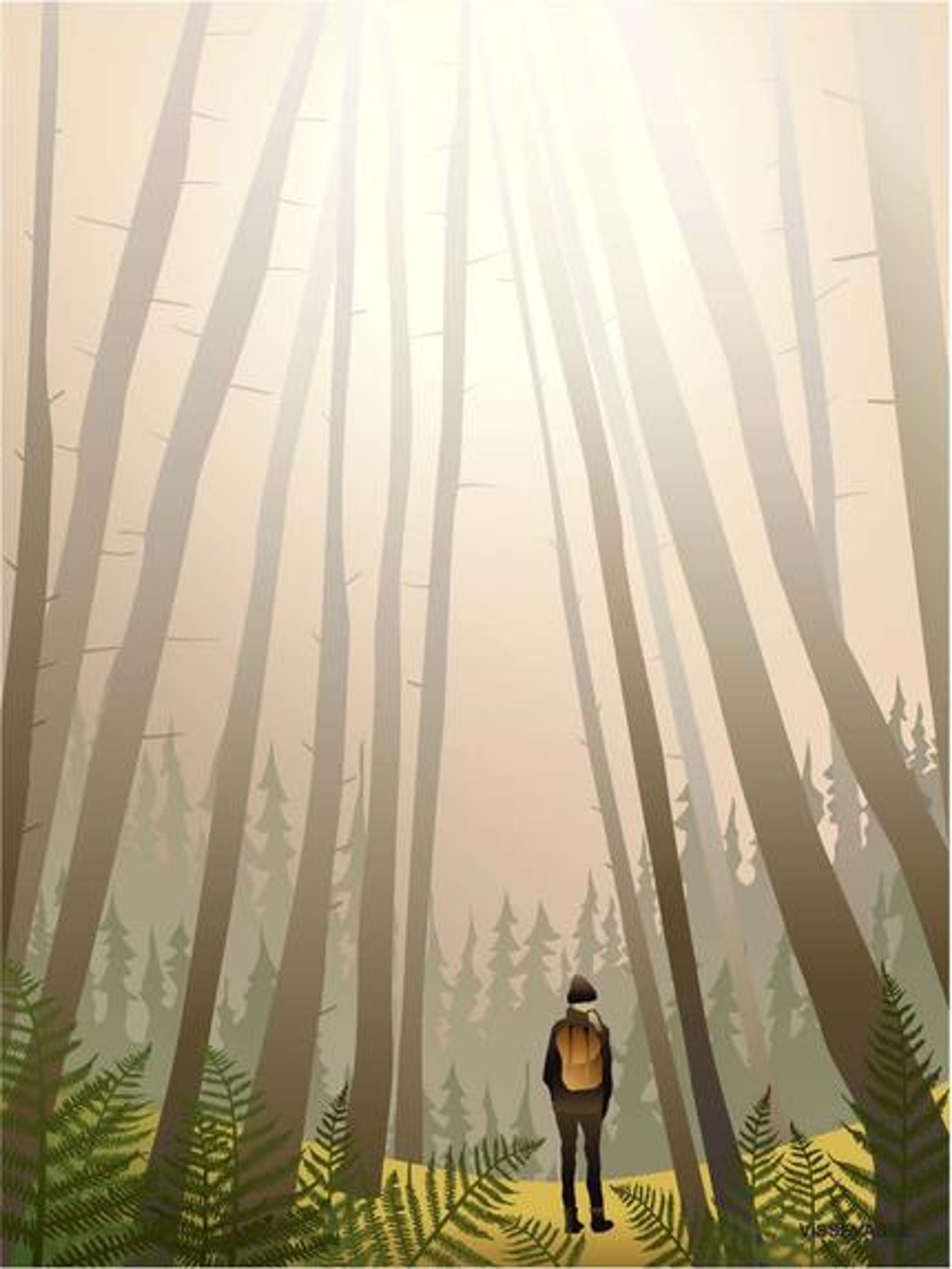 ViSSEVASSE - Plakát - Into The Woods - Into The Woods