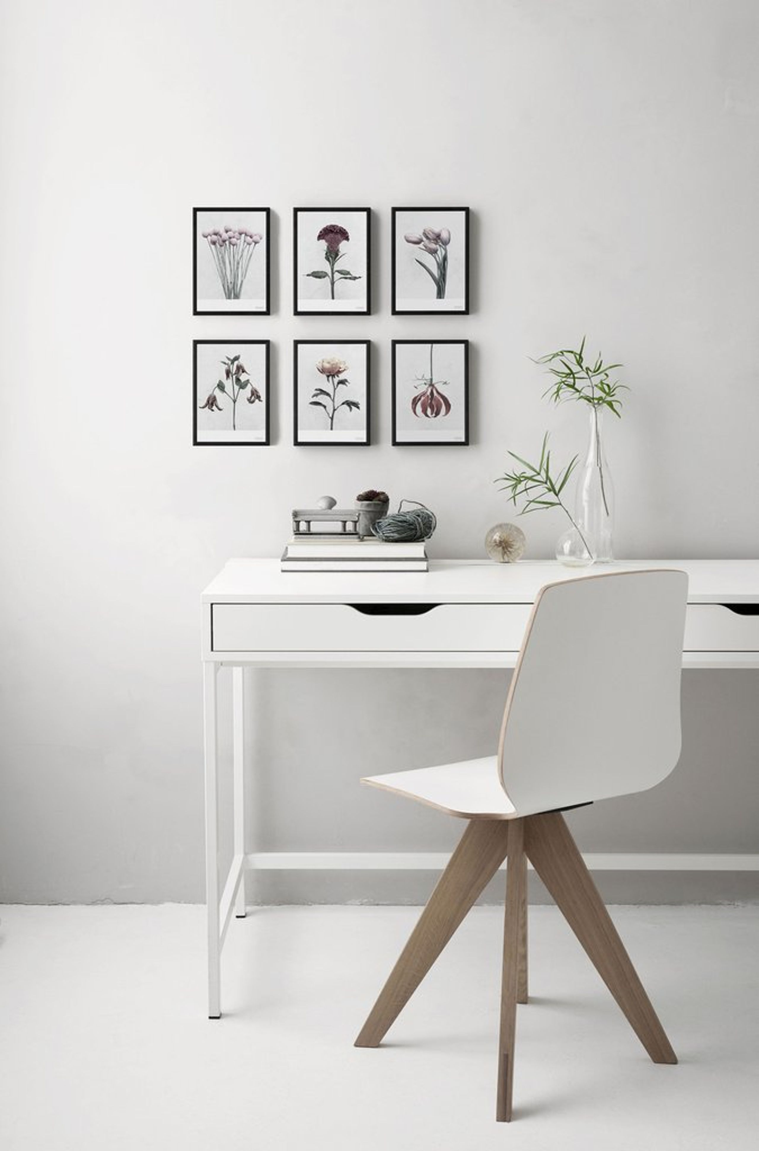 ViSSEVASSE - Plakat - Vee Speers - Botanic Series - Craspedia